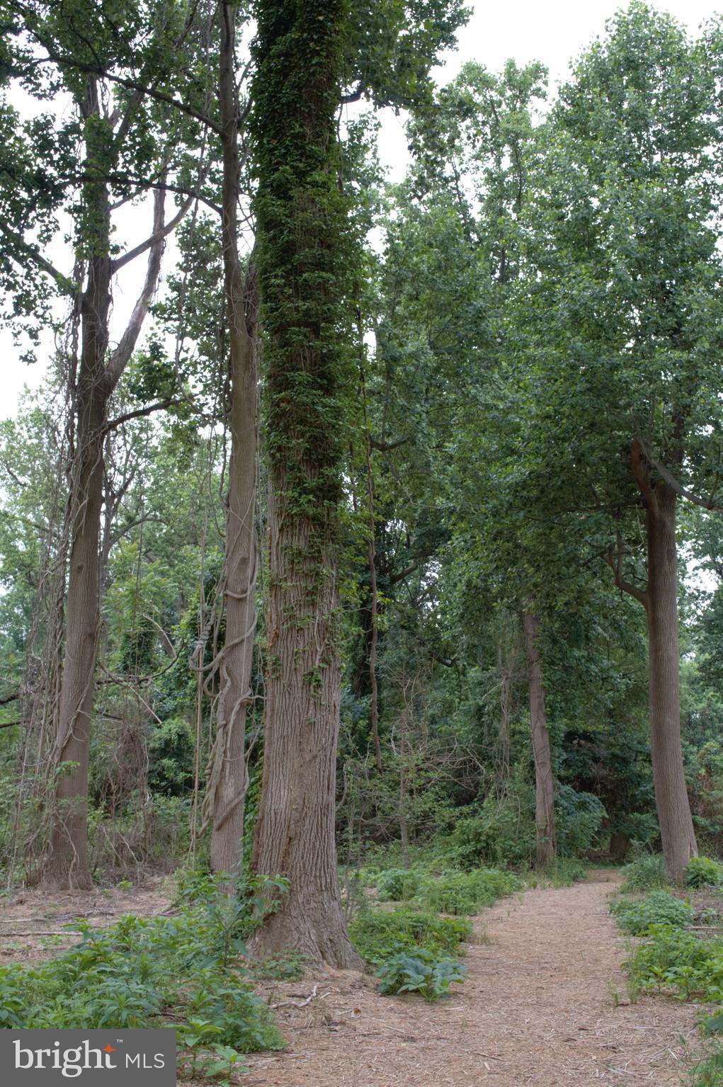 ATLANTIS - Residential Lease