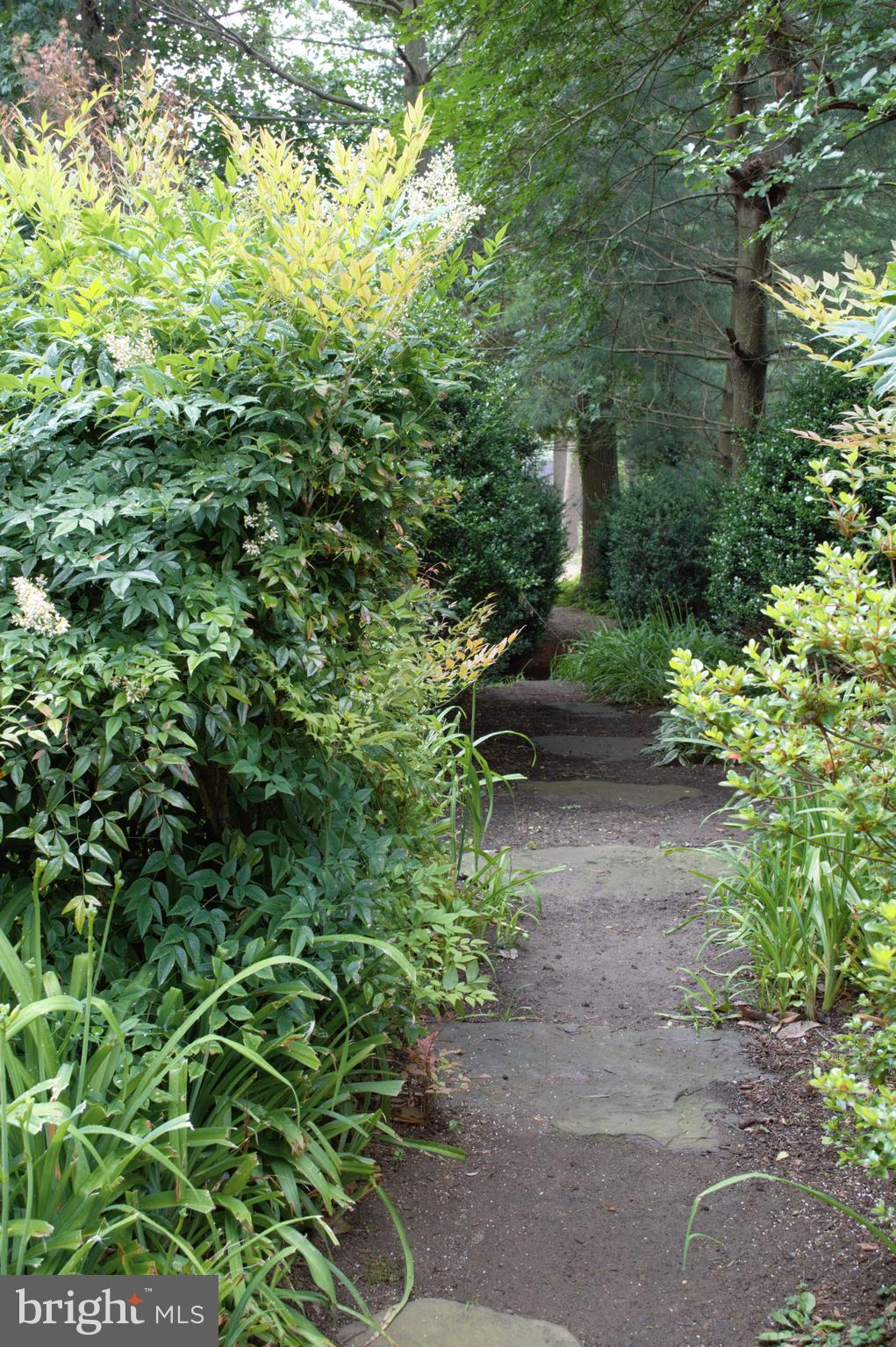 ATLANTIS - Residential Lease