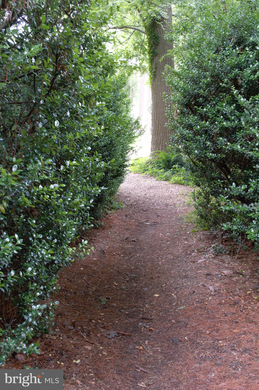 ATLANTIS - Residential Lease