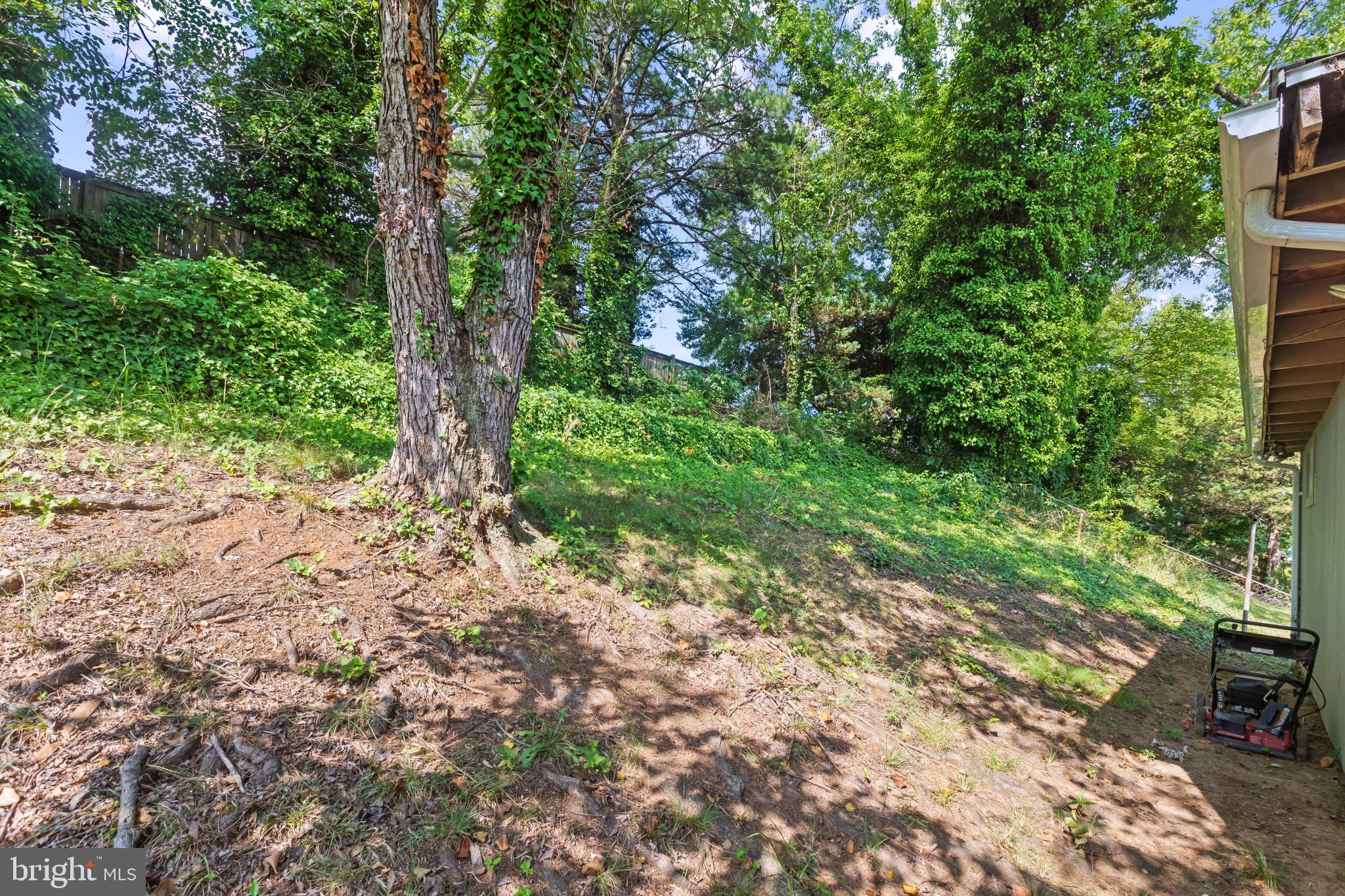 WOODLAWN HEIGHTS - Residential