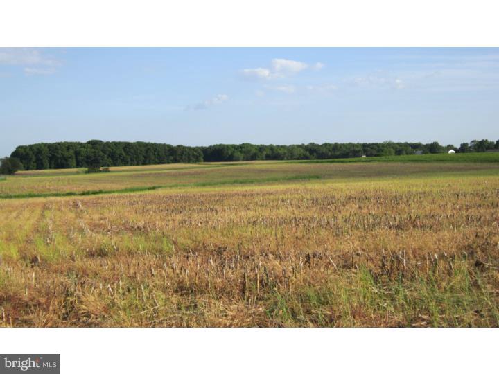 Beautiful 86.2 acre parcel located just outside of the desirable town of Harleysville. Final conditional approval for an 83 lot subdivision granted in April 2008. All approvals are valid, some permits need to be renewed. Excellent opportunity for a builder or an investor! Close access to the Lansdale Exit of the Pennsylvania Turnpike, Routes 113, 63 and 309.
