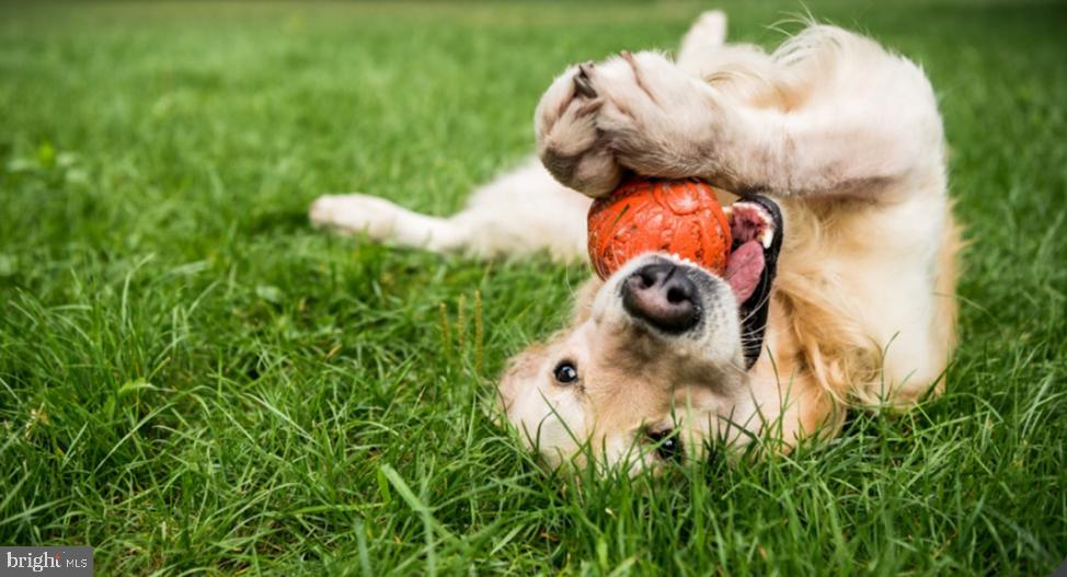 THE PARKLANDS - Residential