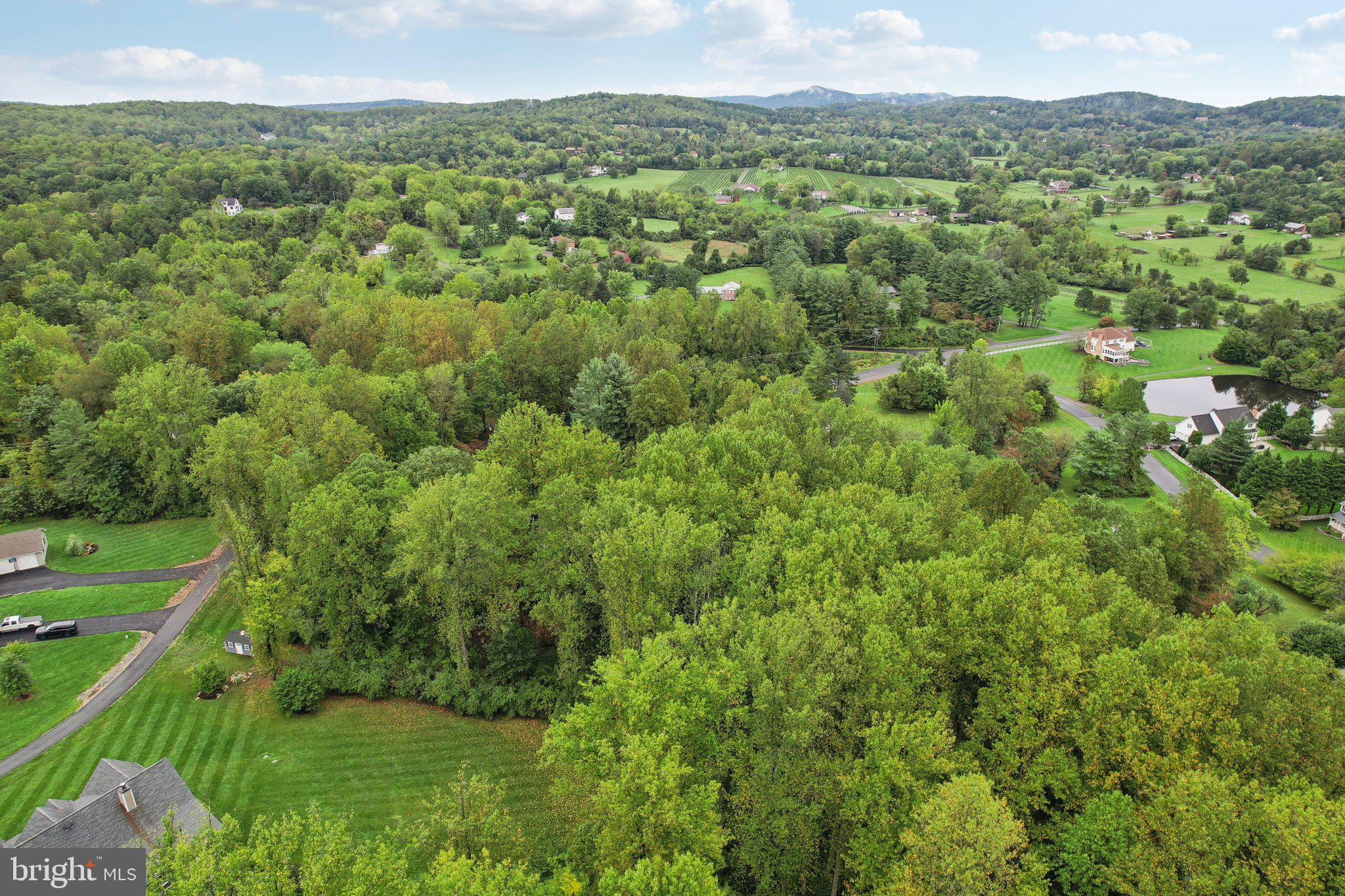 WOODED RUN ESTATES - Residential