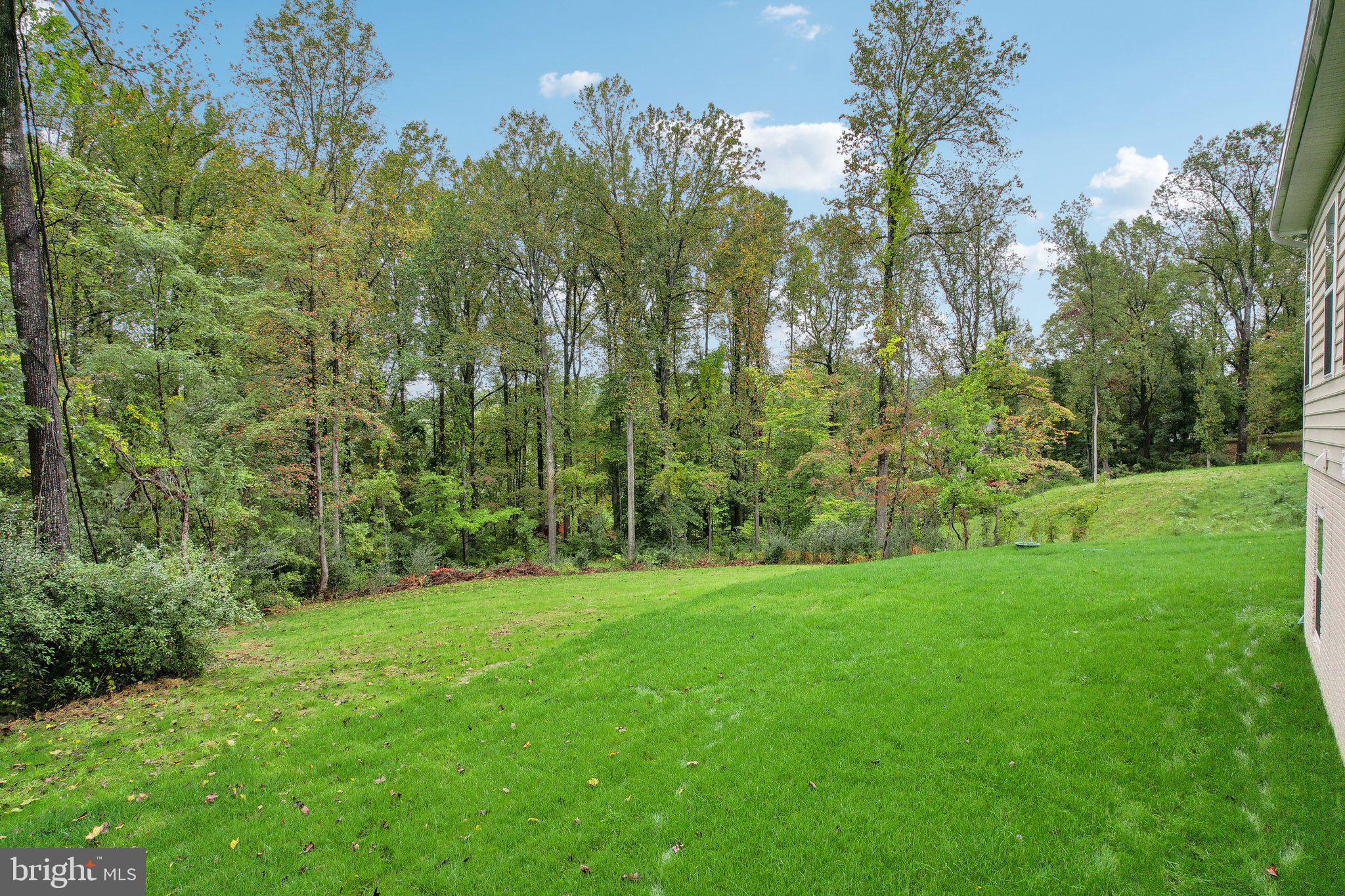 WOODED RUN ESTATES - Residential