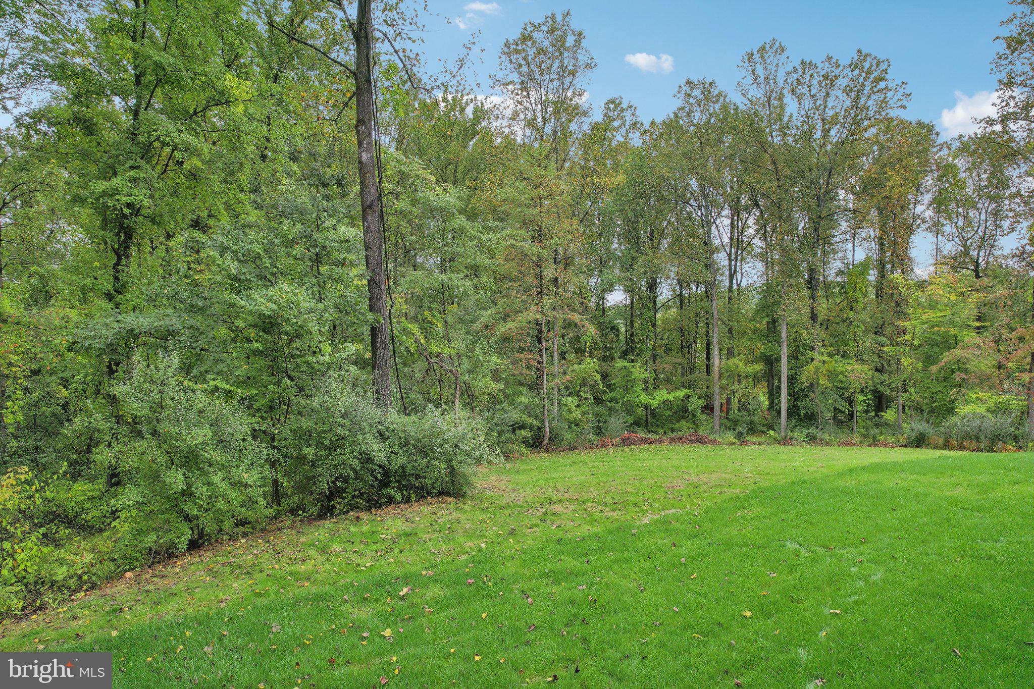 WOODED RUN ESTATES - Residential