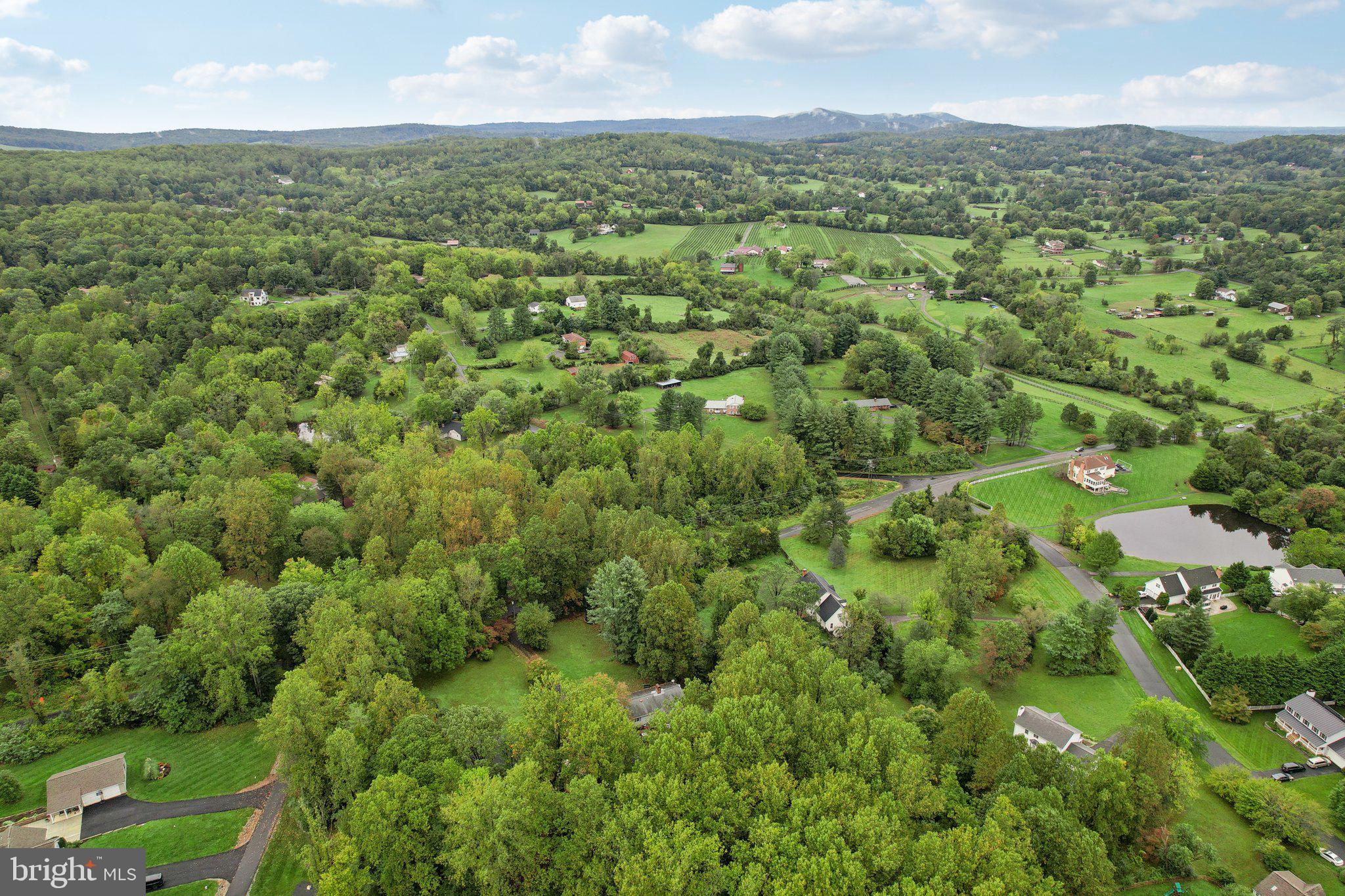 WOODED RUN ESTATES - Residential