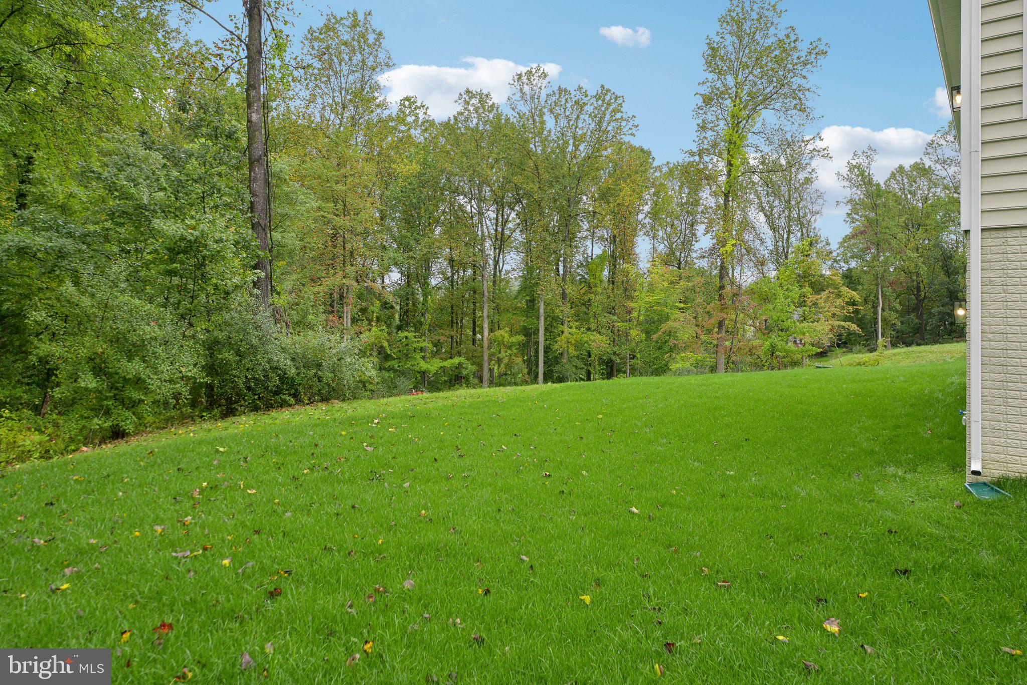 WOODED RUN ESTATES - Residential