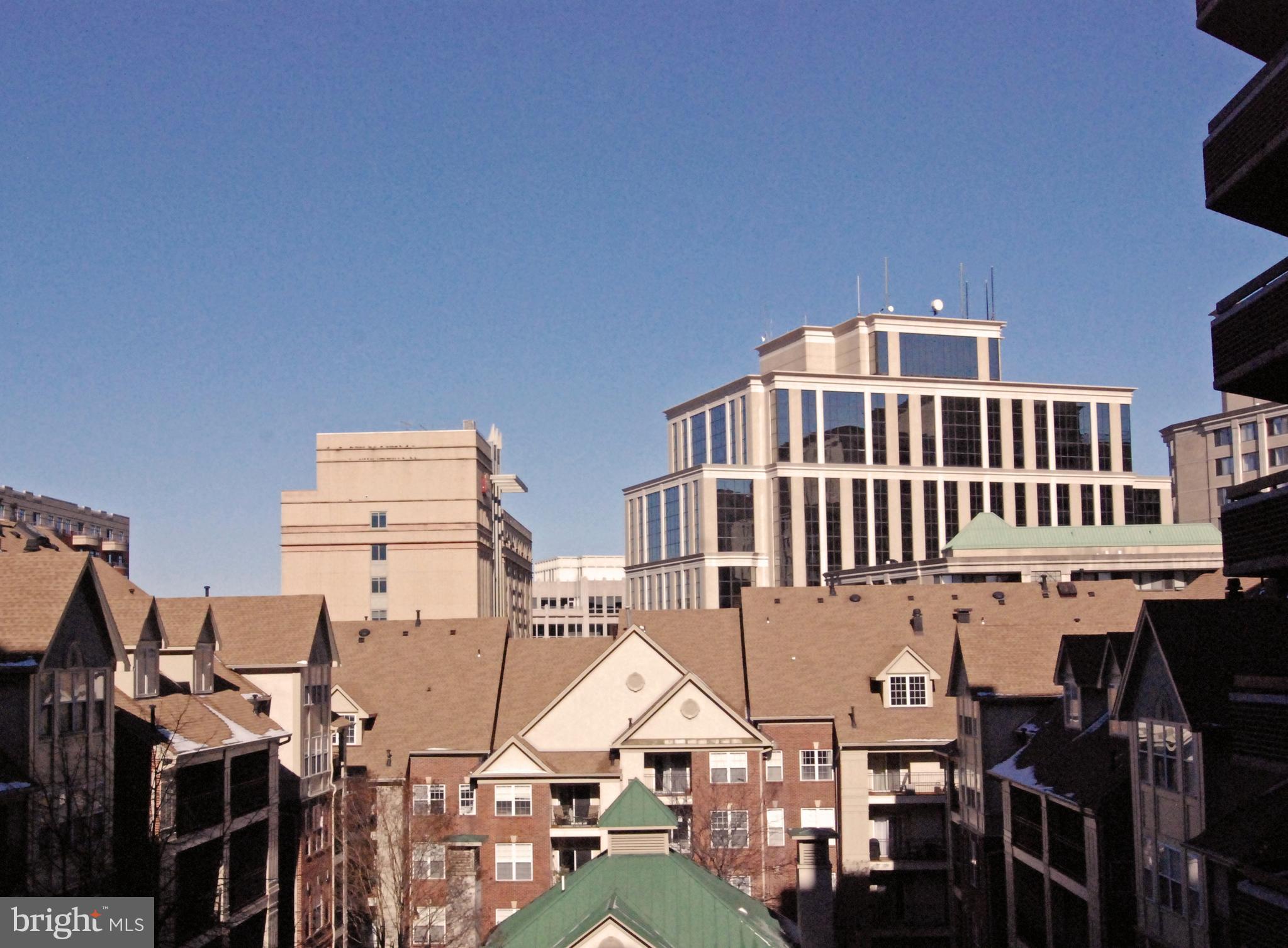 THE WILLIAMSBURG - Residential