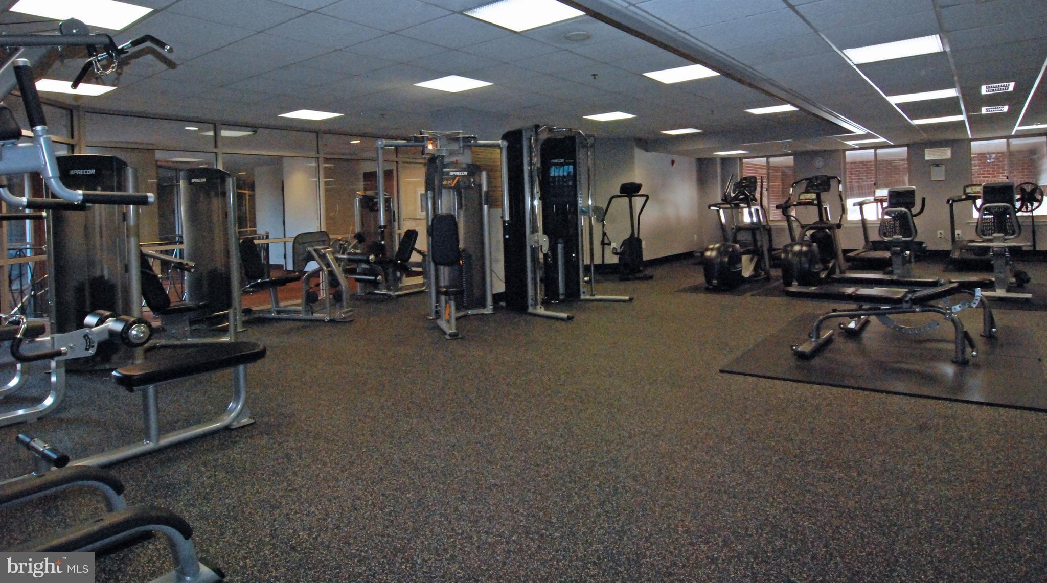 THE WILLIAMSBURG - Residential