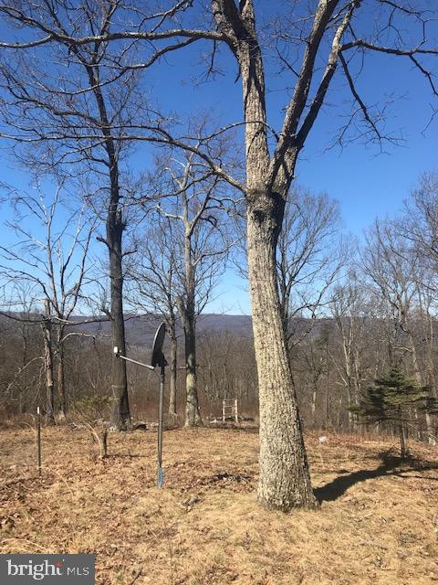 VALLEY HIGH TIMBER FARMS - Land