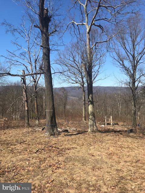 VALLEY HIGH TIMBER FARMS - Land