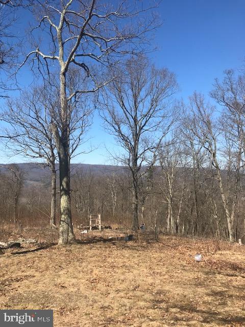 VALLEY HIGH TIMBER FARMS - Land