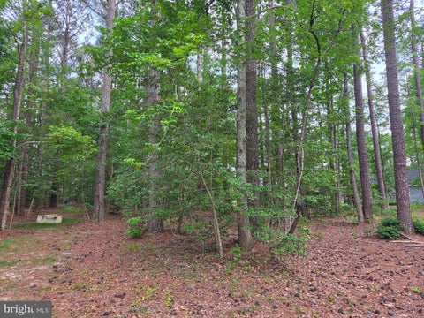 Vacant Land For Sale - LOT 272 Military Court<br/> MONTROSS, VA 22520