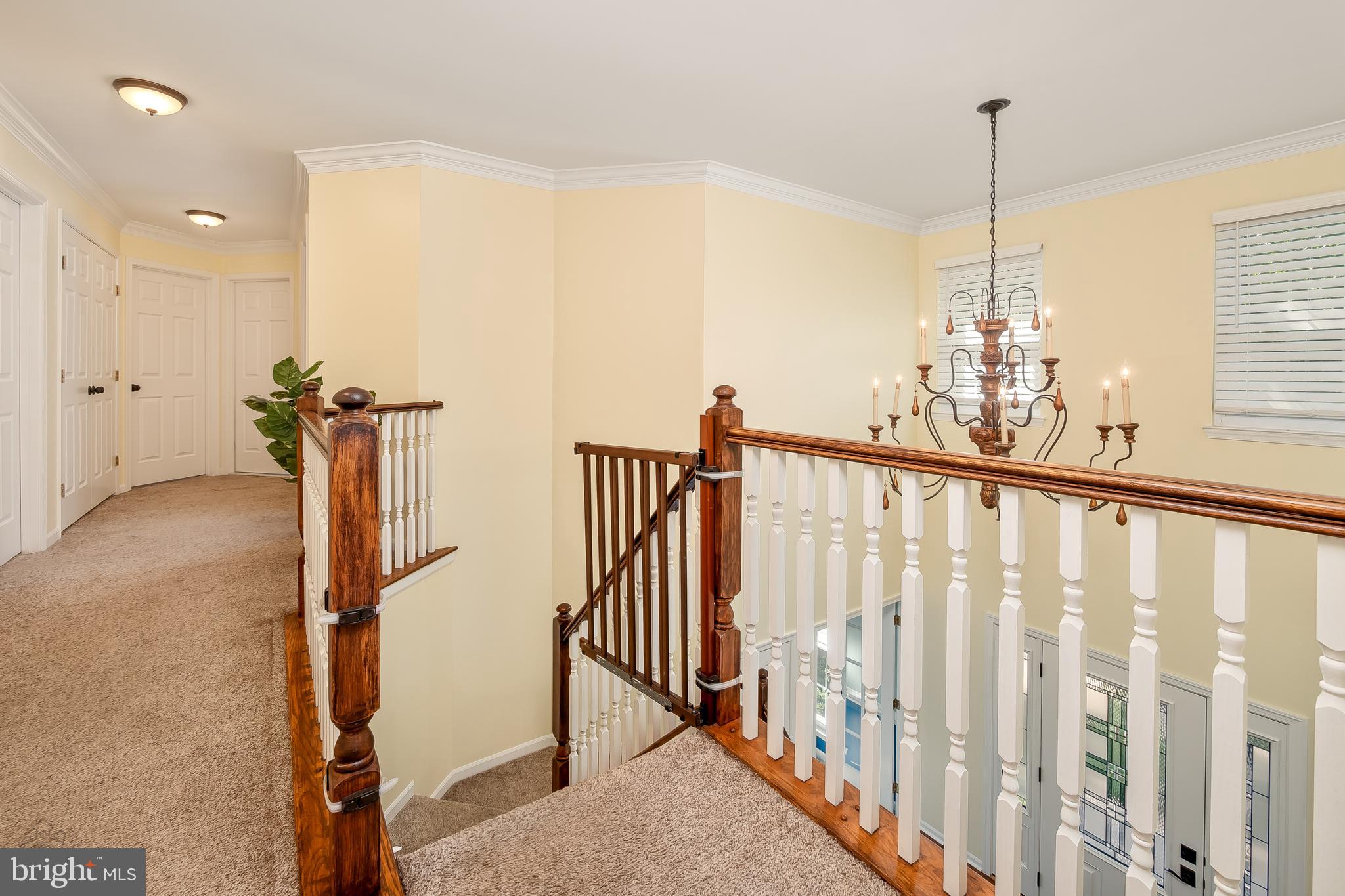 BALMORAL - Residential