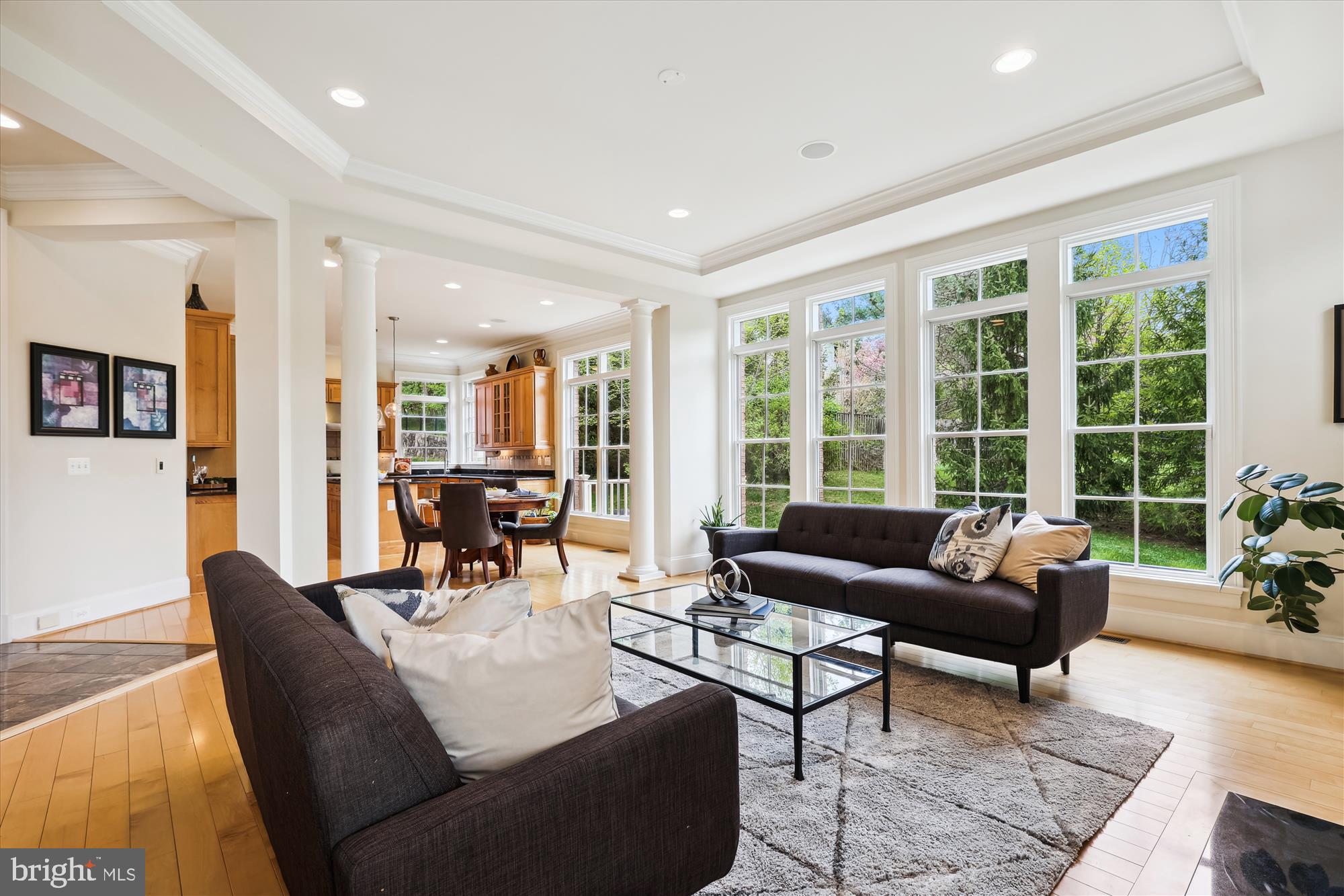 TYSONS CHASE - Residential