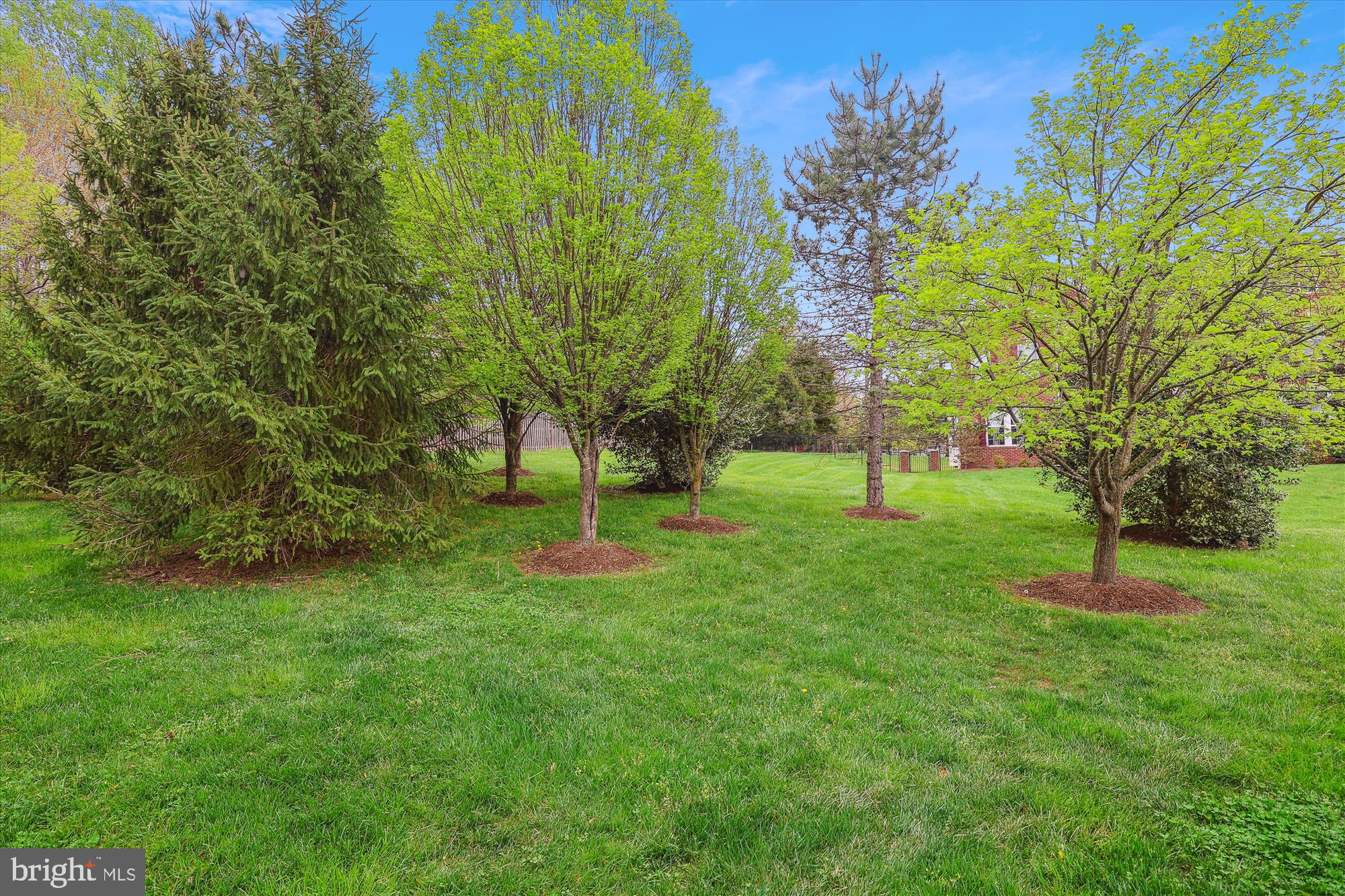 TYSONS CHASE - Residential