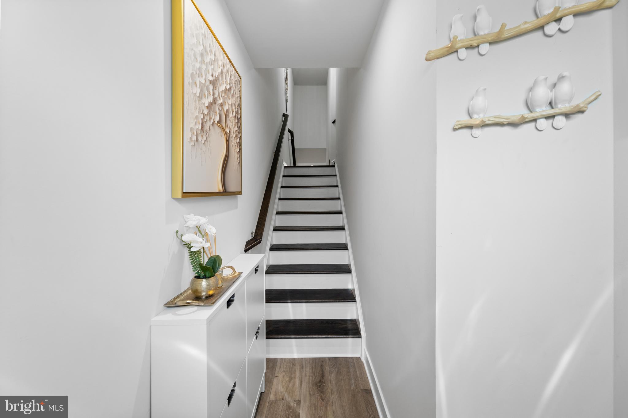 56 DOLCIE LANE