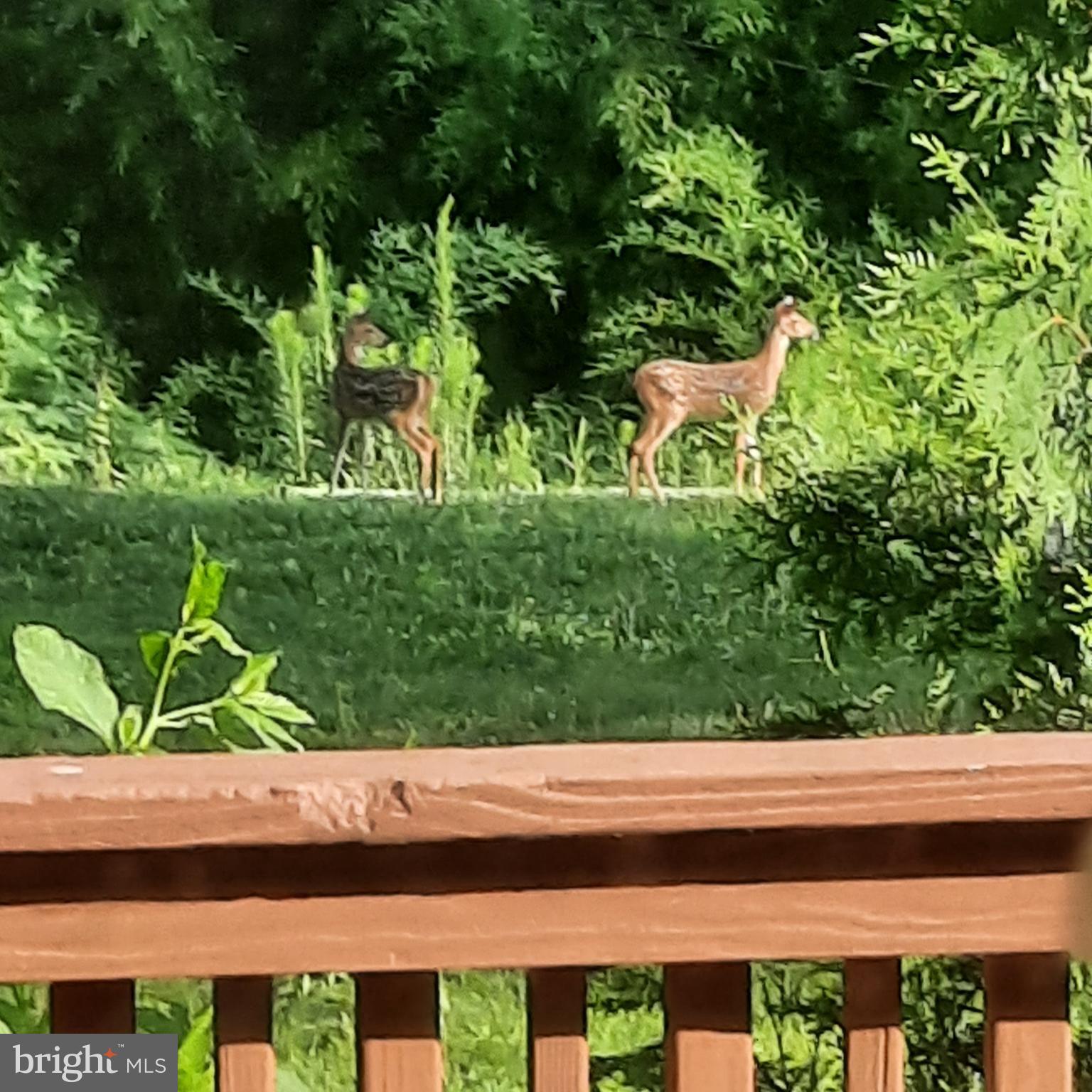 SUN HILL - Residential