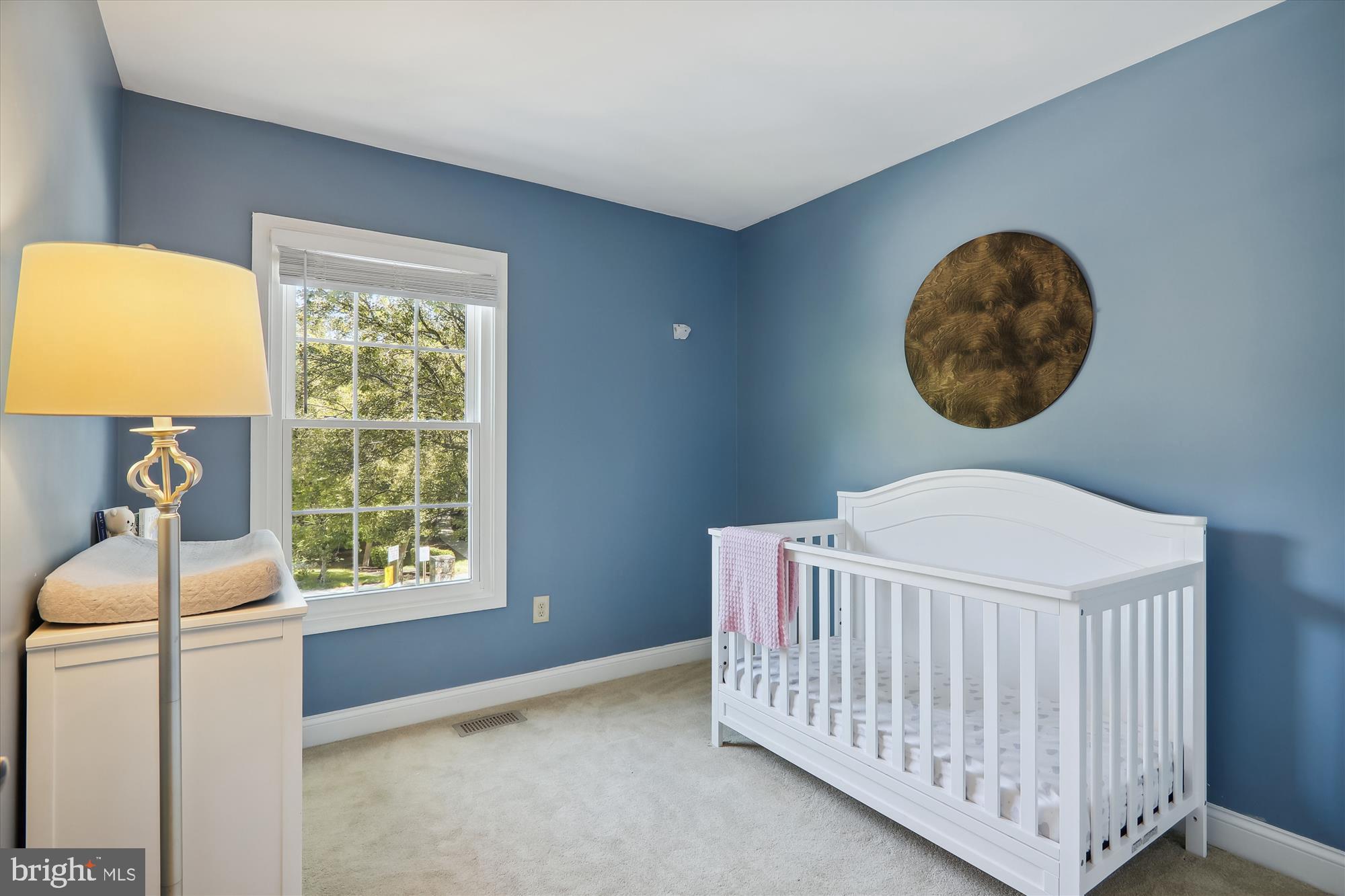 GUNNERS LAKE VILLAGE - Residential