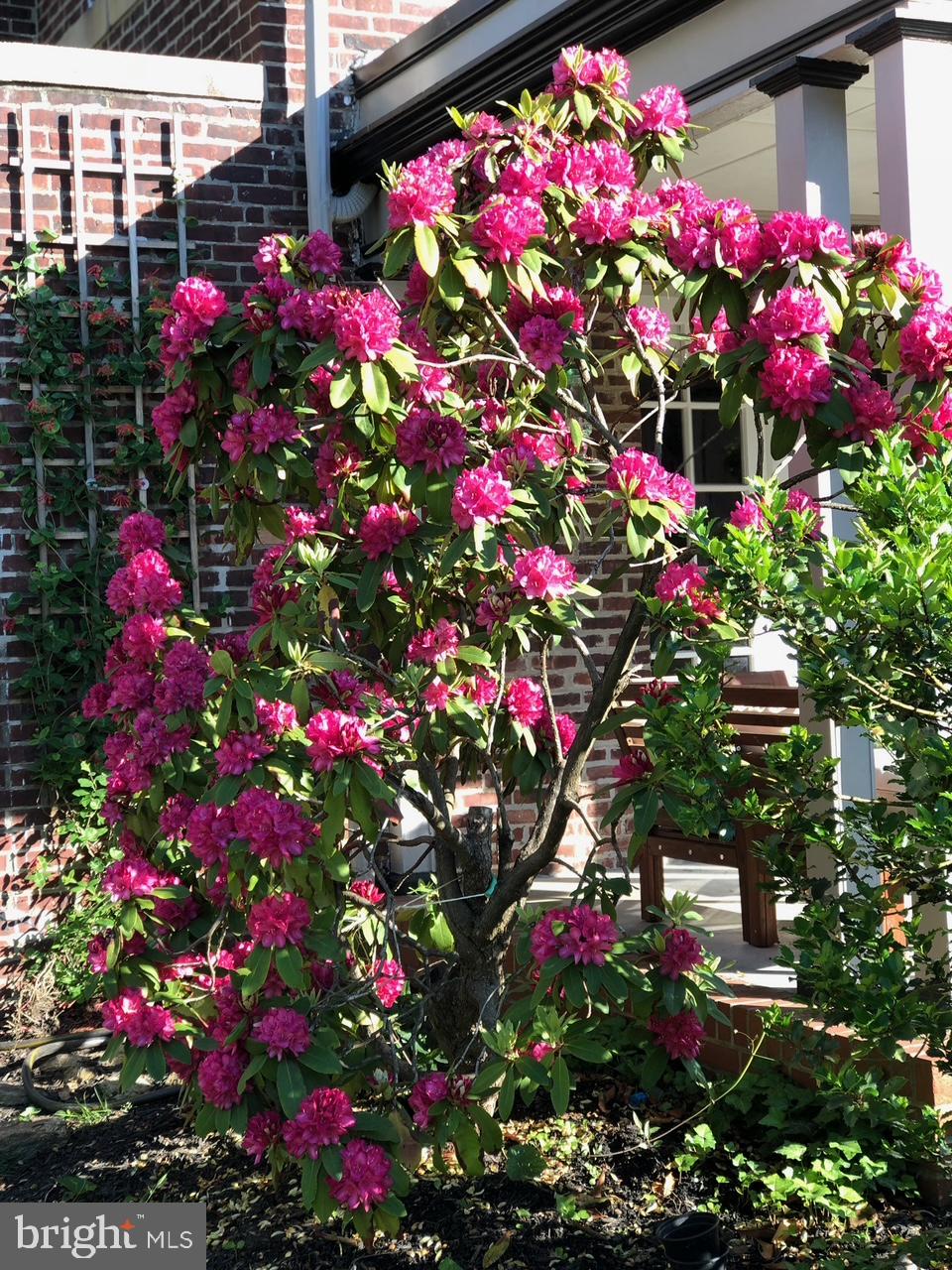 MT AIRY (WEST) - Residential