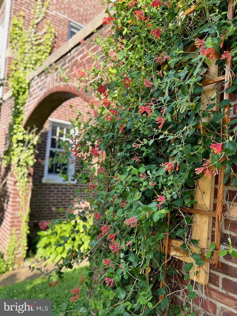 MT AIRY (WEST) - Residential