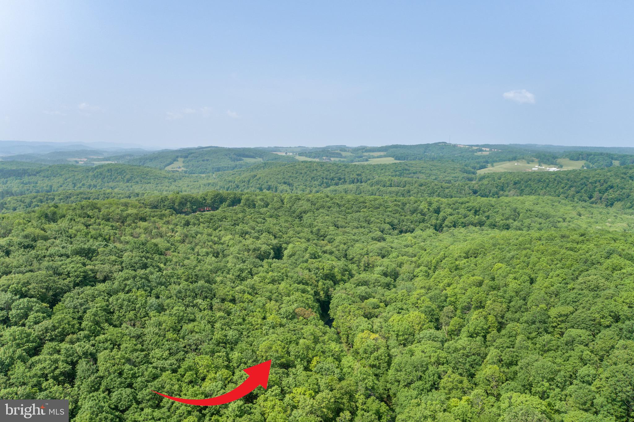 ROYAL CHARLOTTE - Land