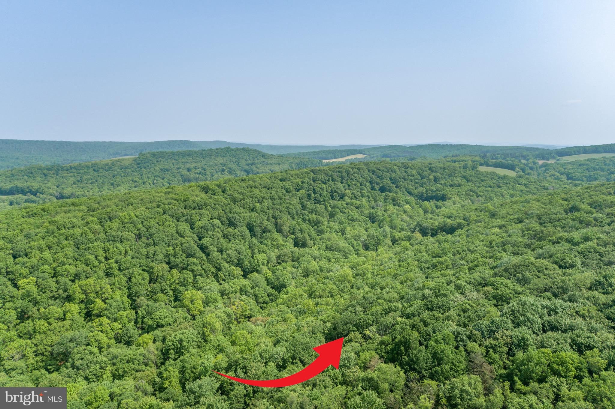 ROYAL CHARLOTTE - Land