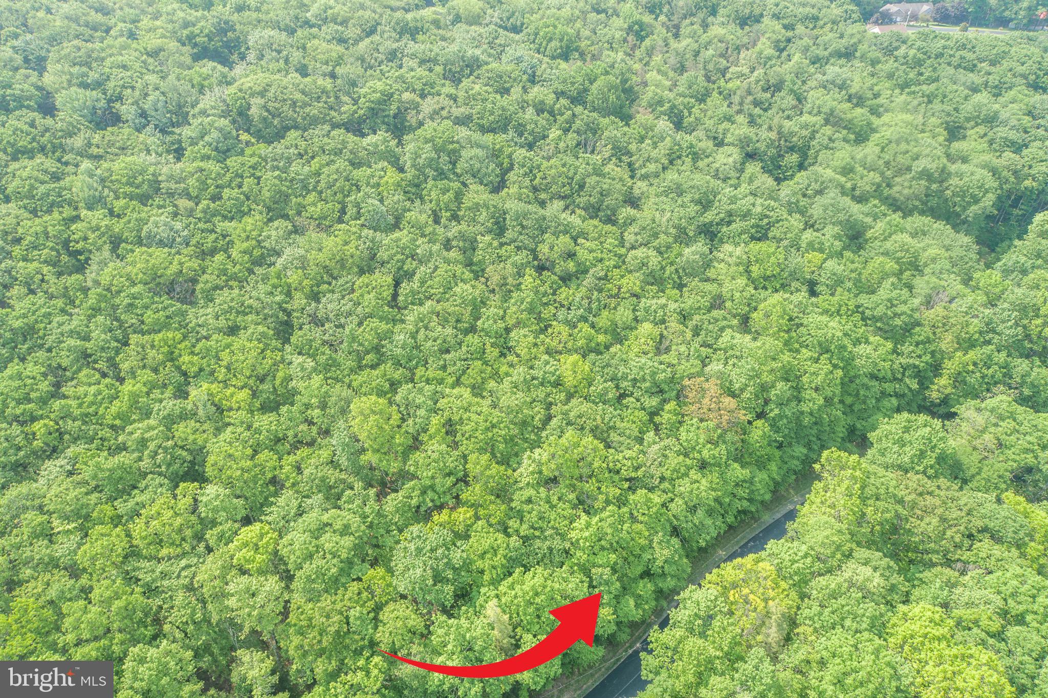 ROYAL CHARLOTTE - Land