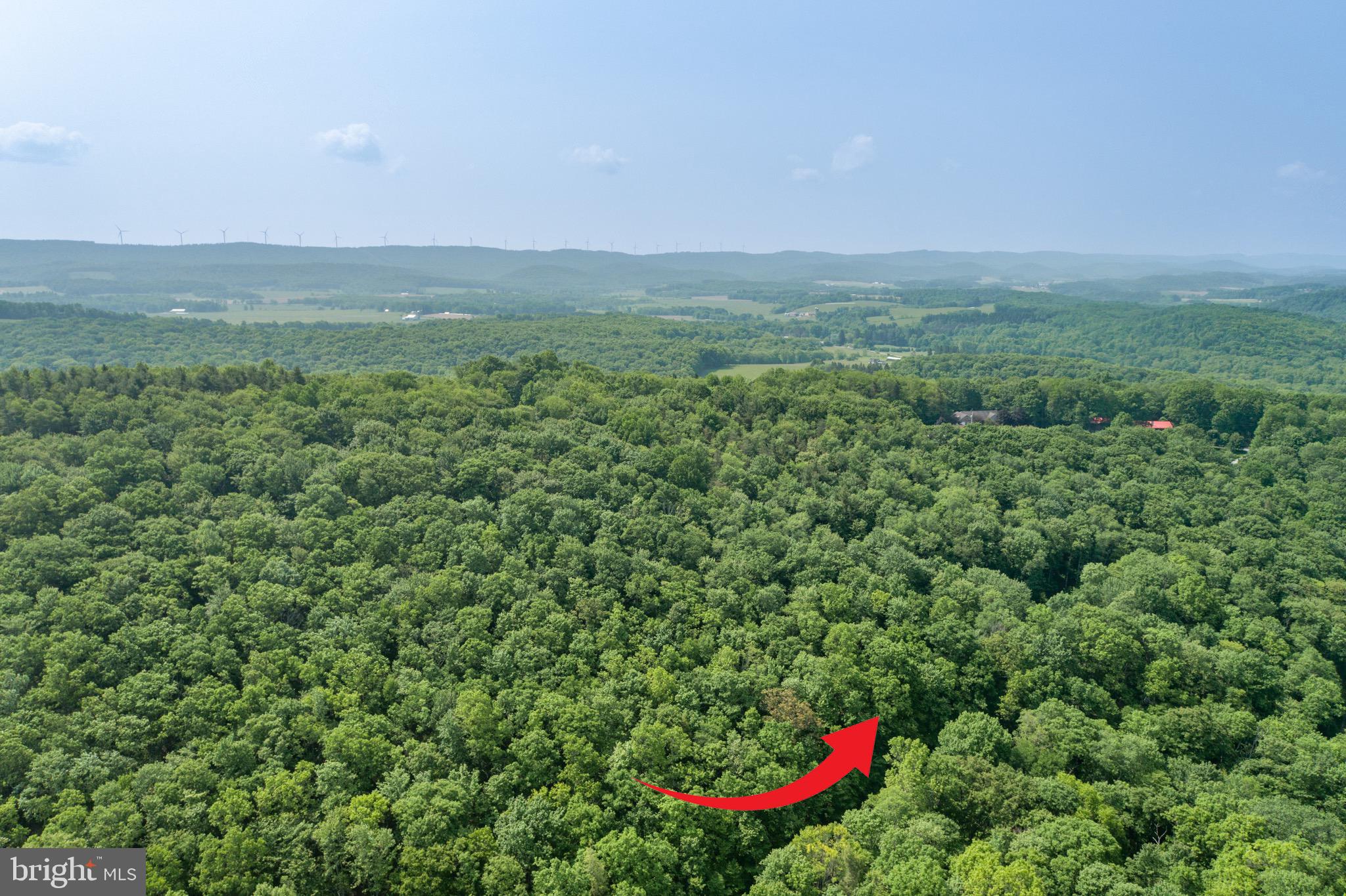 ROYAL CHARLOTTE - Land