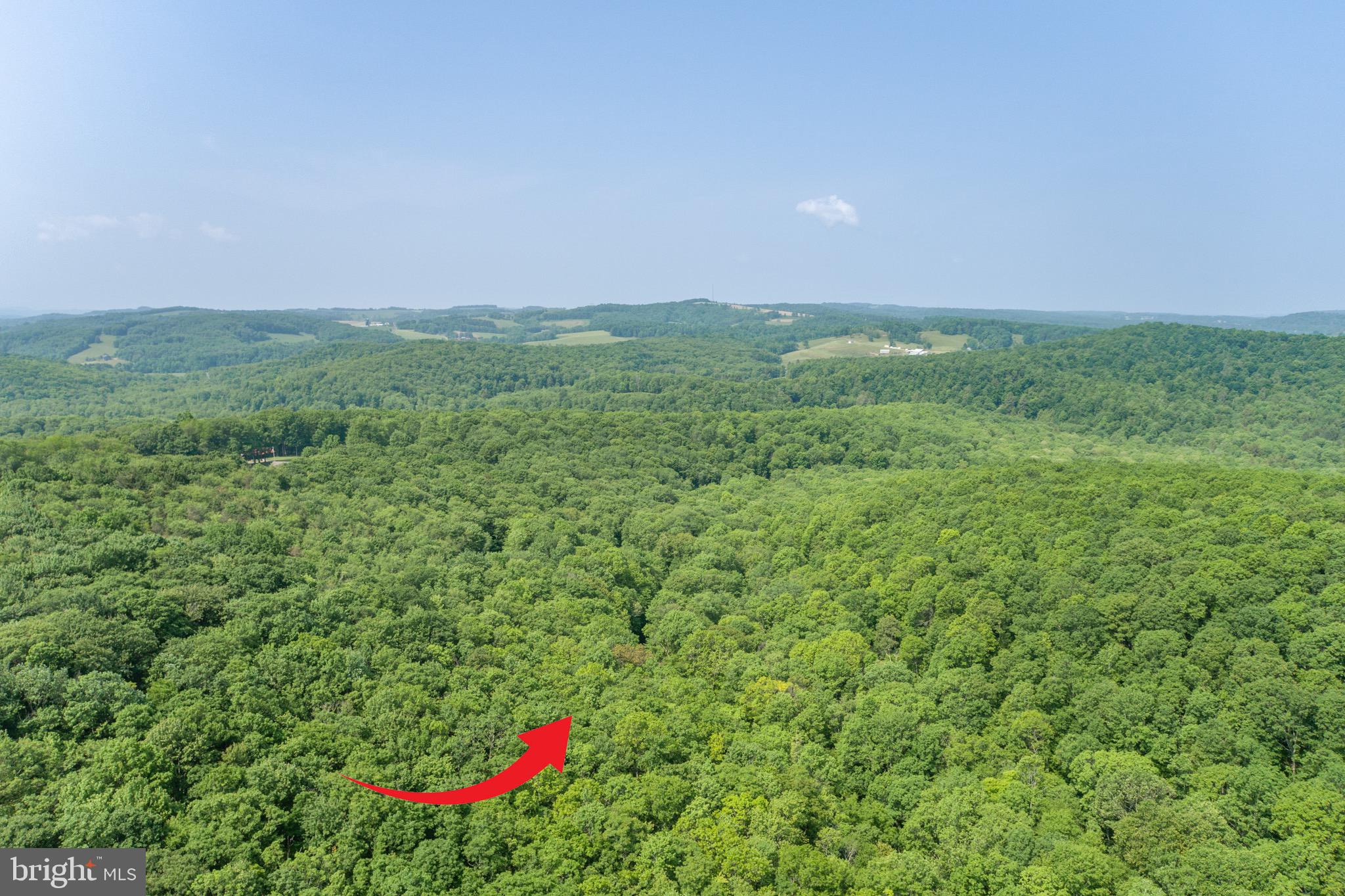 ROYAL CHARLOTTE - Land