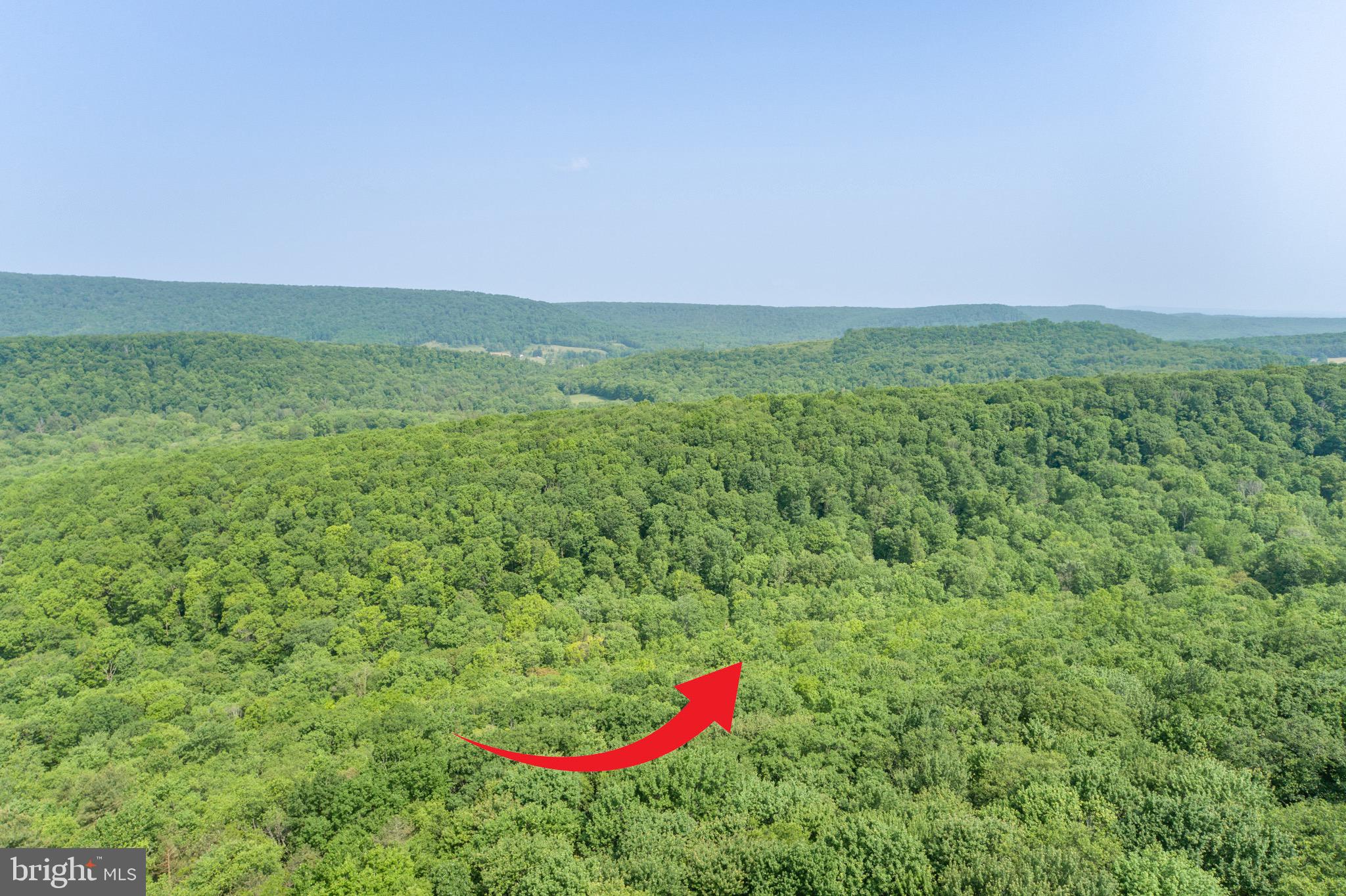 ROYAL CHARLOTTE - Land