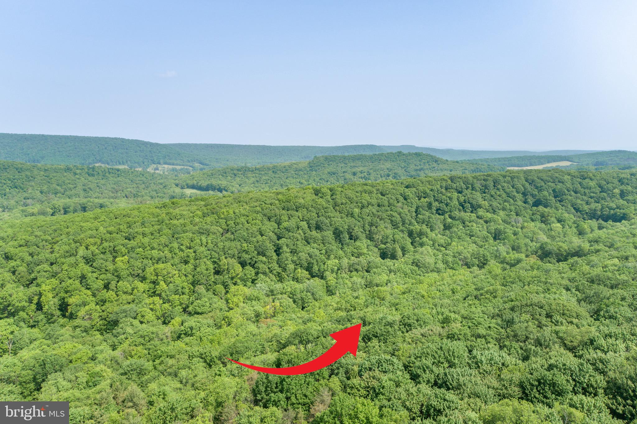 ROYAL CHARLOTTE - Land