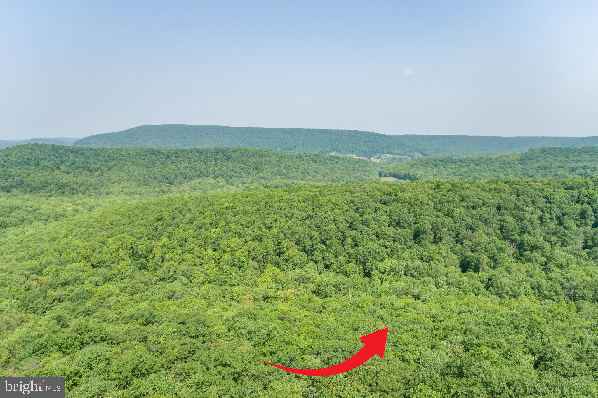 ROYAL CHARLOTTE - Land