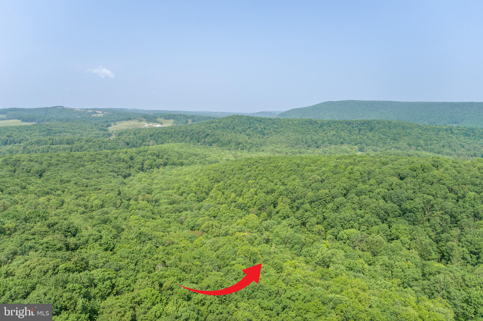 ROYAL CHARLOTTE - Land