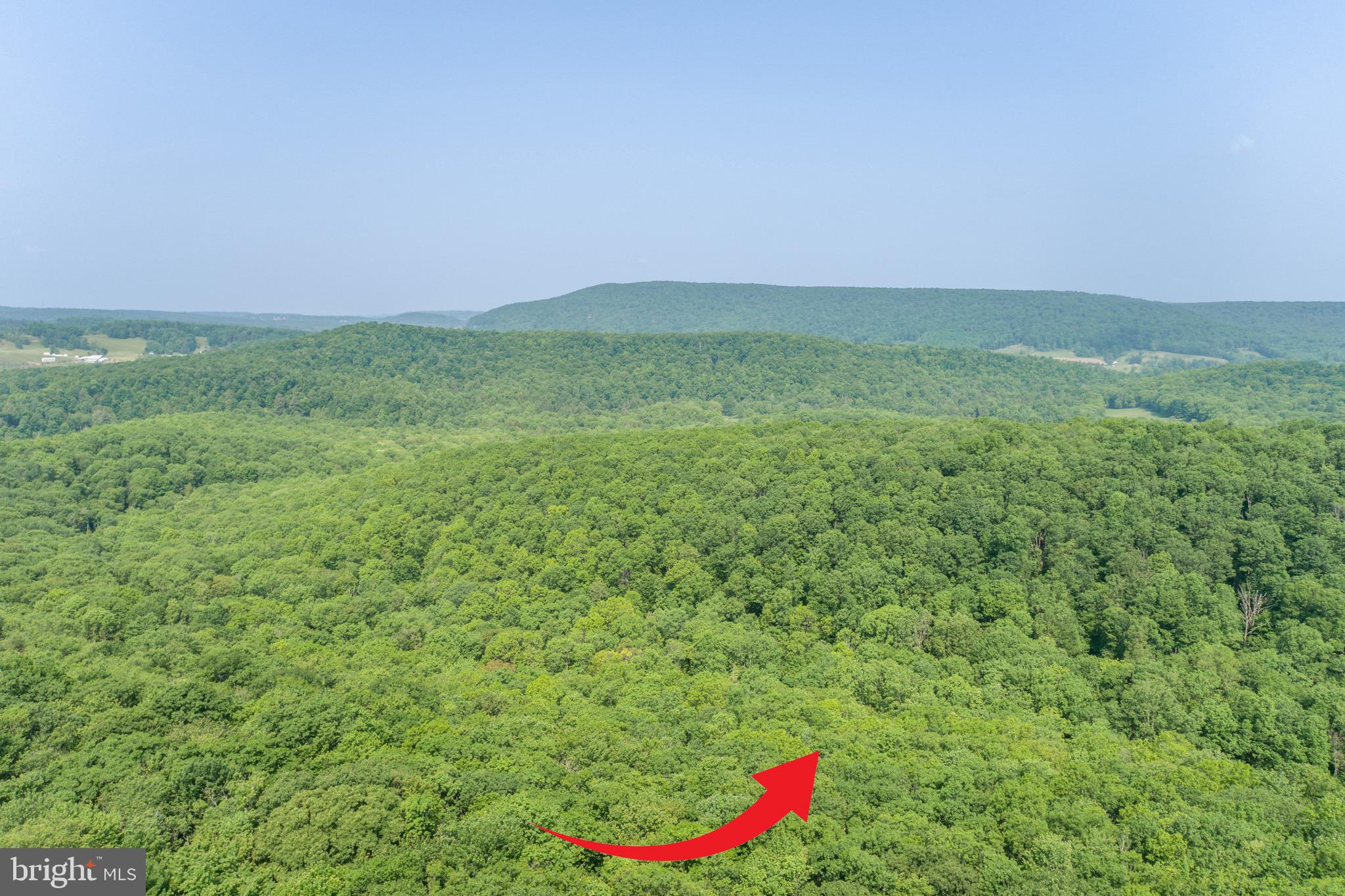 ROYAL CHARLOTTE - Land