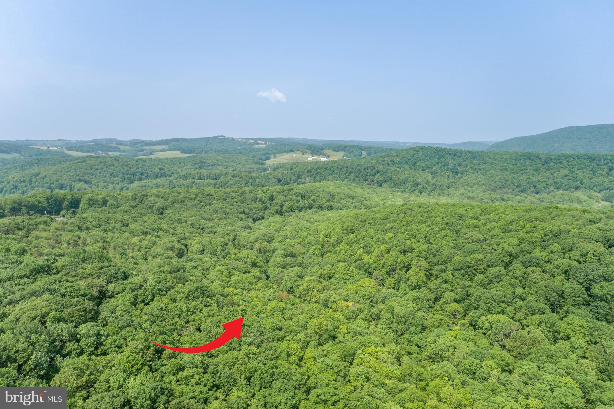 ROYAL CHARLOTTE - Land