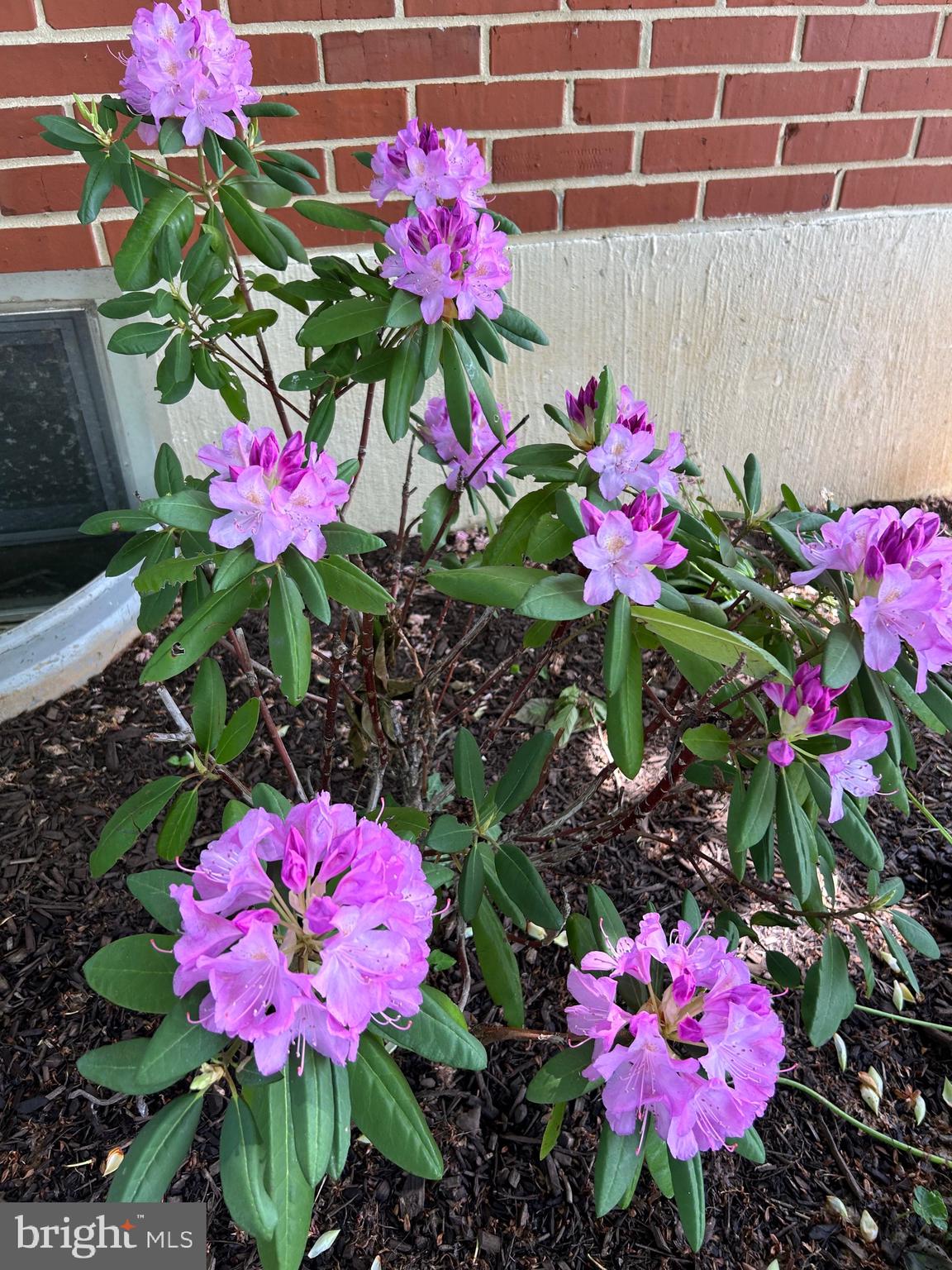 LUTHER VILLAGE - Residential