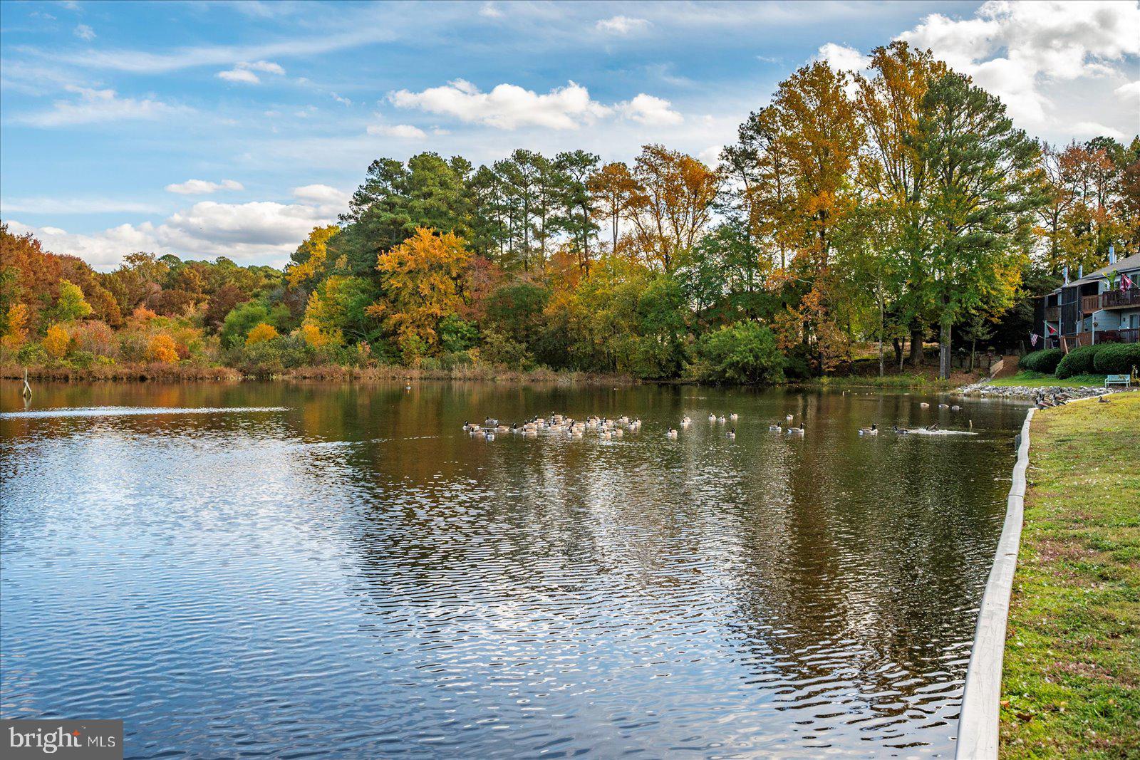 CANAL WOODS III - Residential