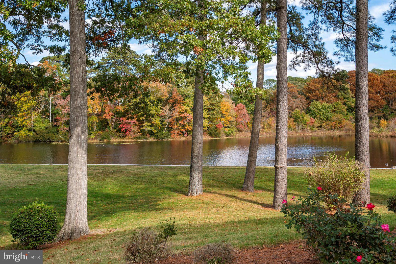 CANAL WOODS III - Residential