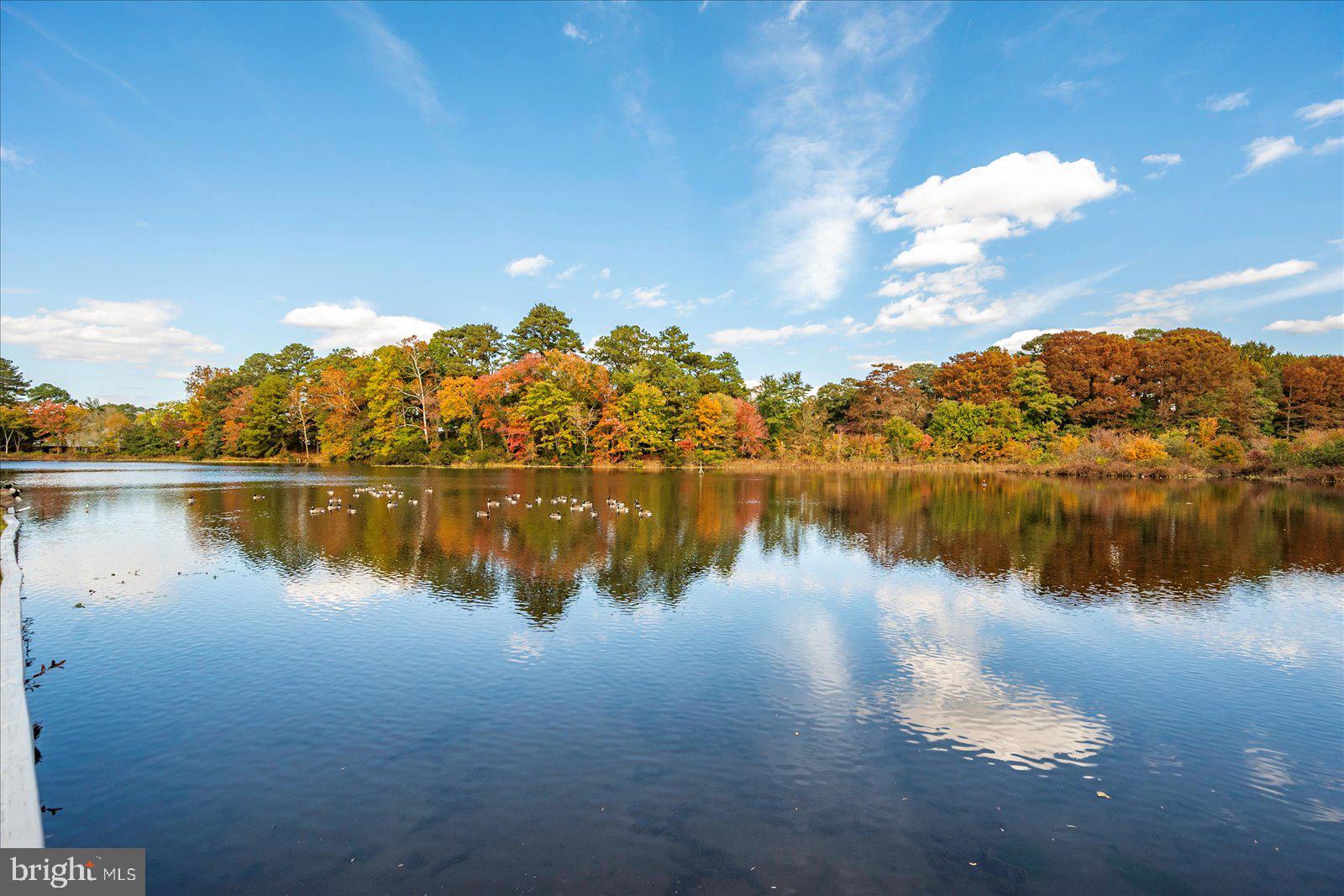 CANAL WOODS III - Residential