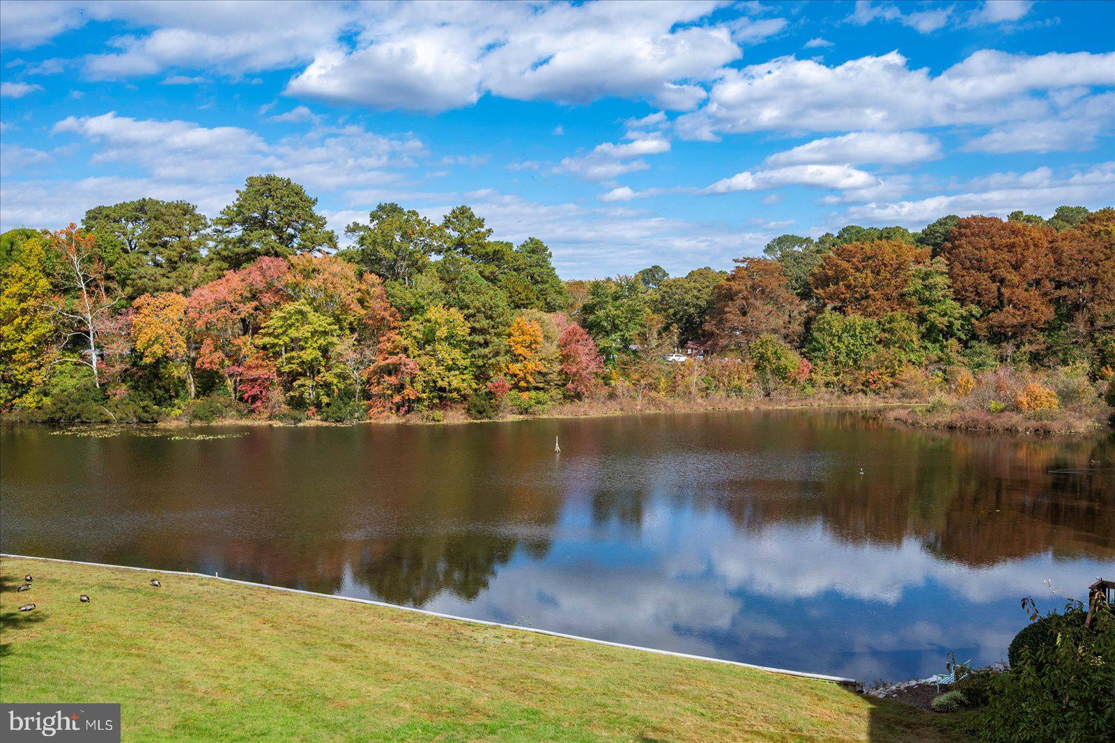 CANAL WOODS III - Residential