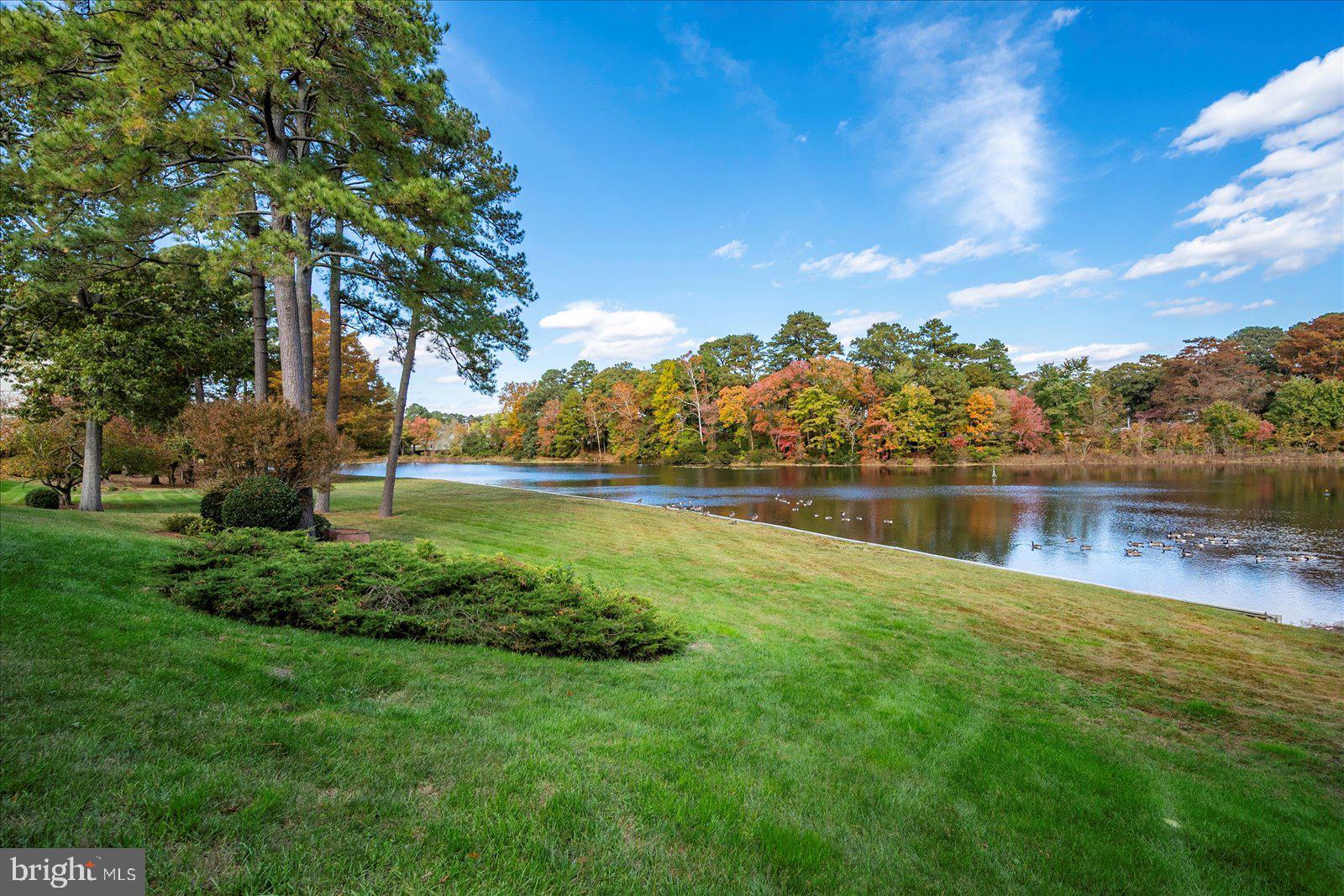 CANAL WOODS III - Residential