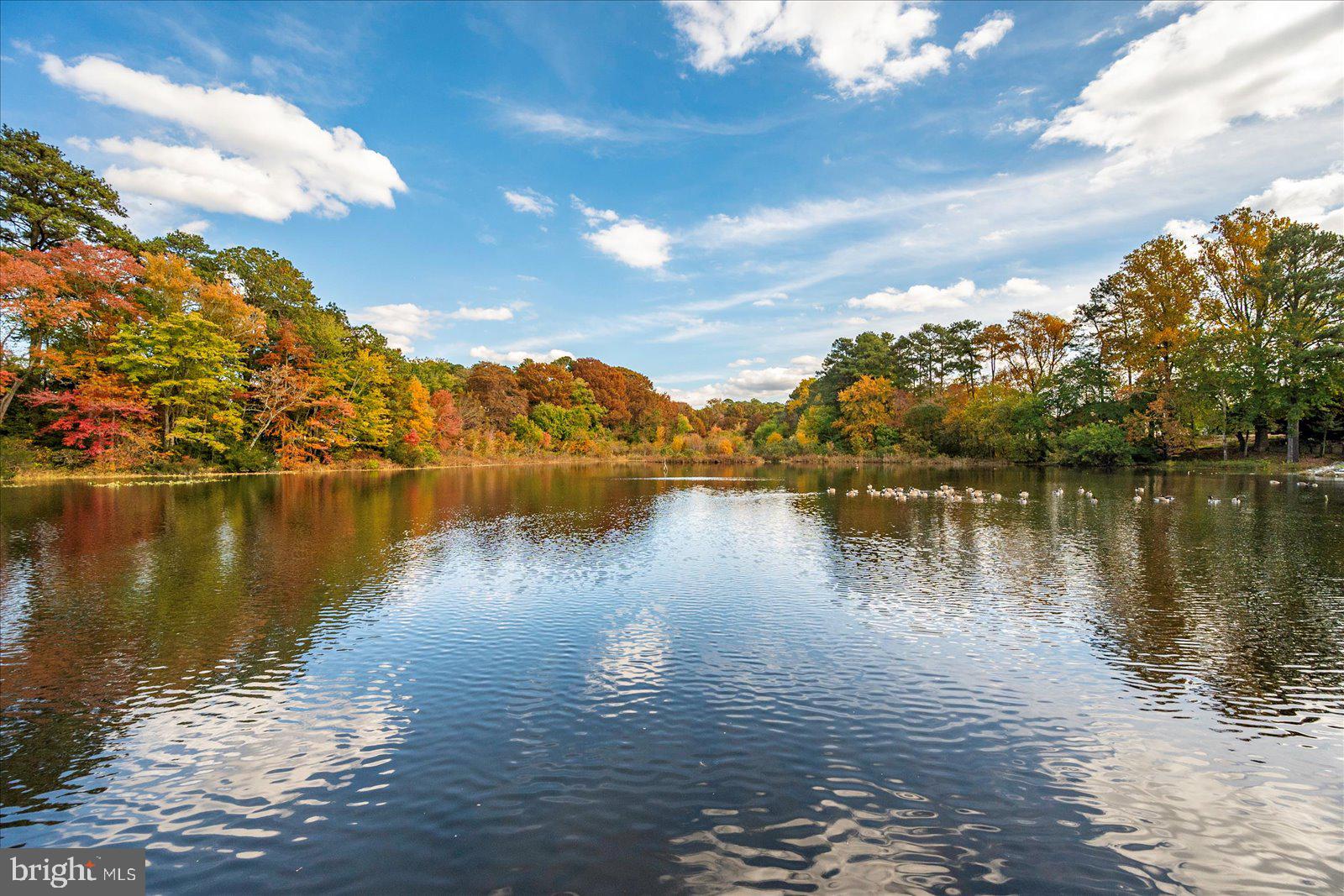 CANAL WOODS III - Residential