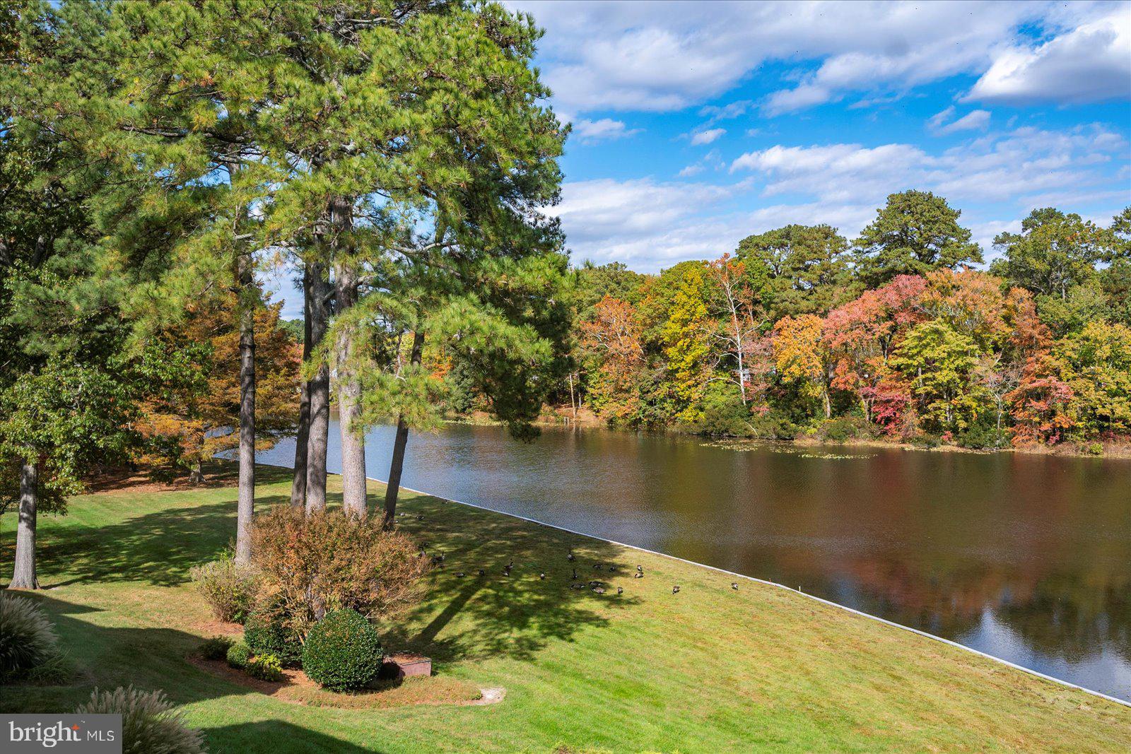 CANAL WOODS III - Residential