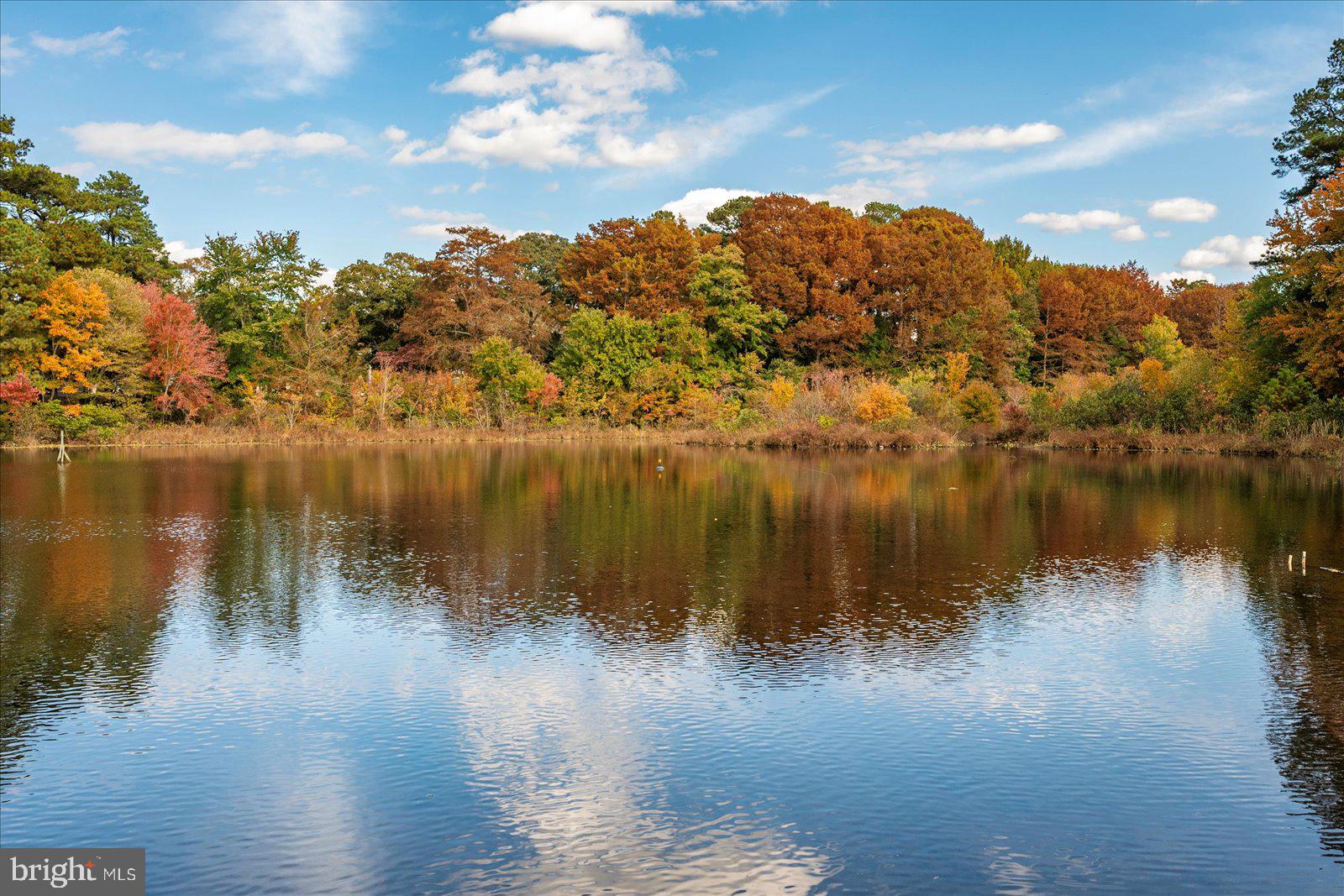 CANAL WOODS III - Residential