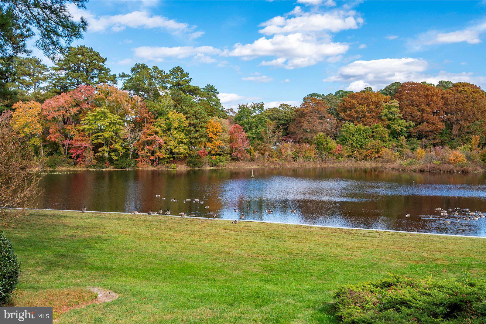 CANAL WOODS III - Residential