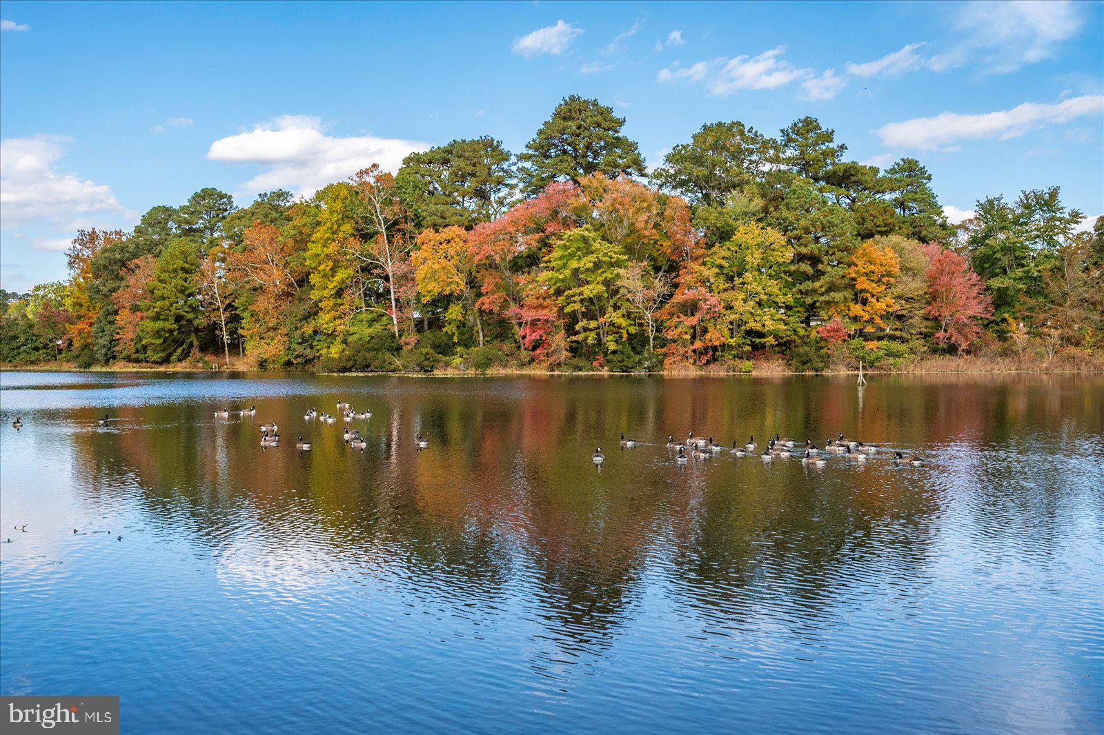 CANAL WOODS III - Residential