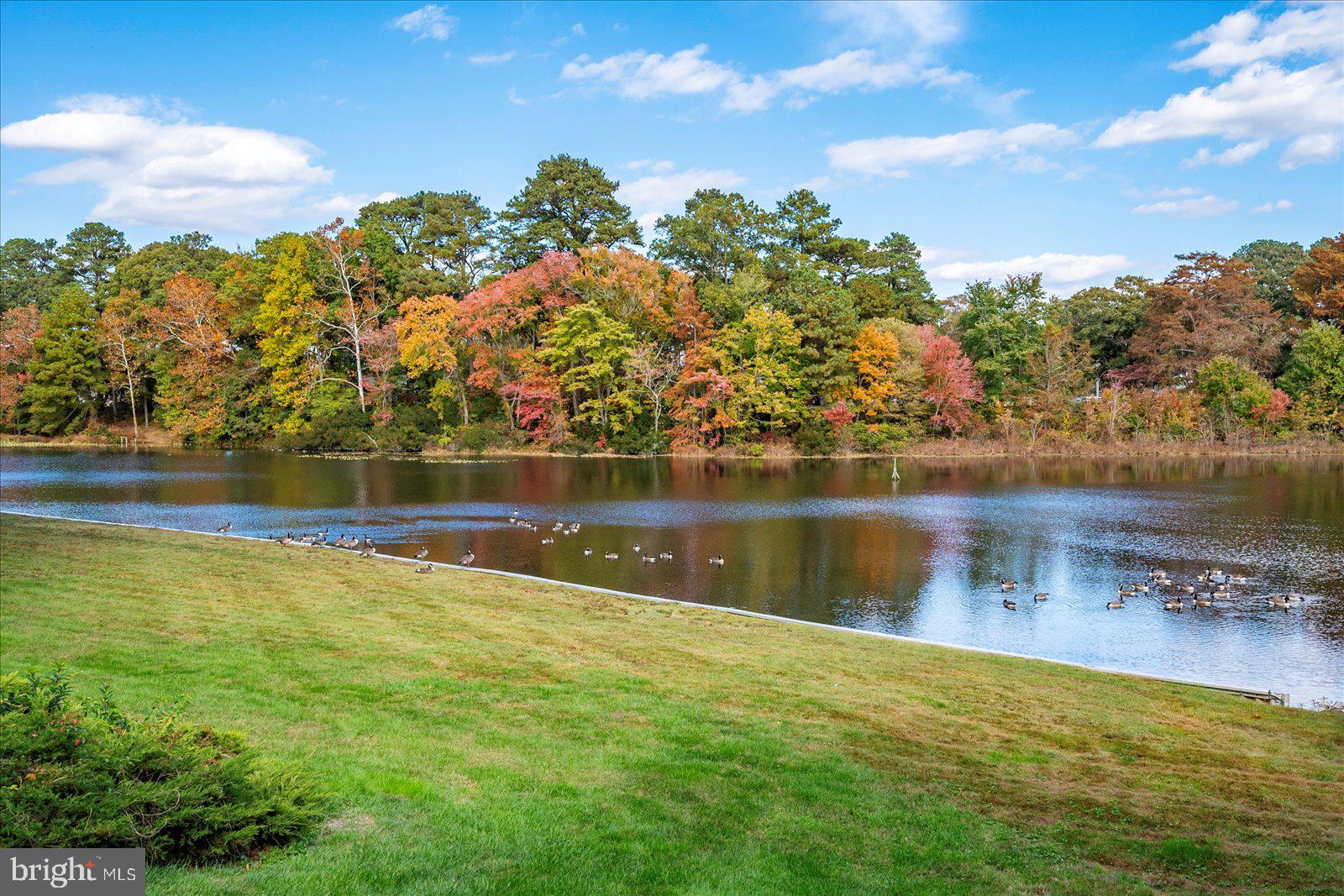 CANAL WOODS III - Residential