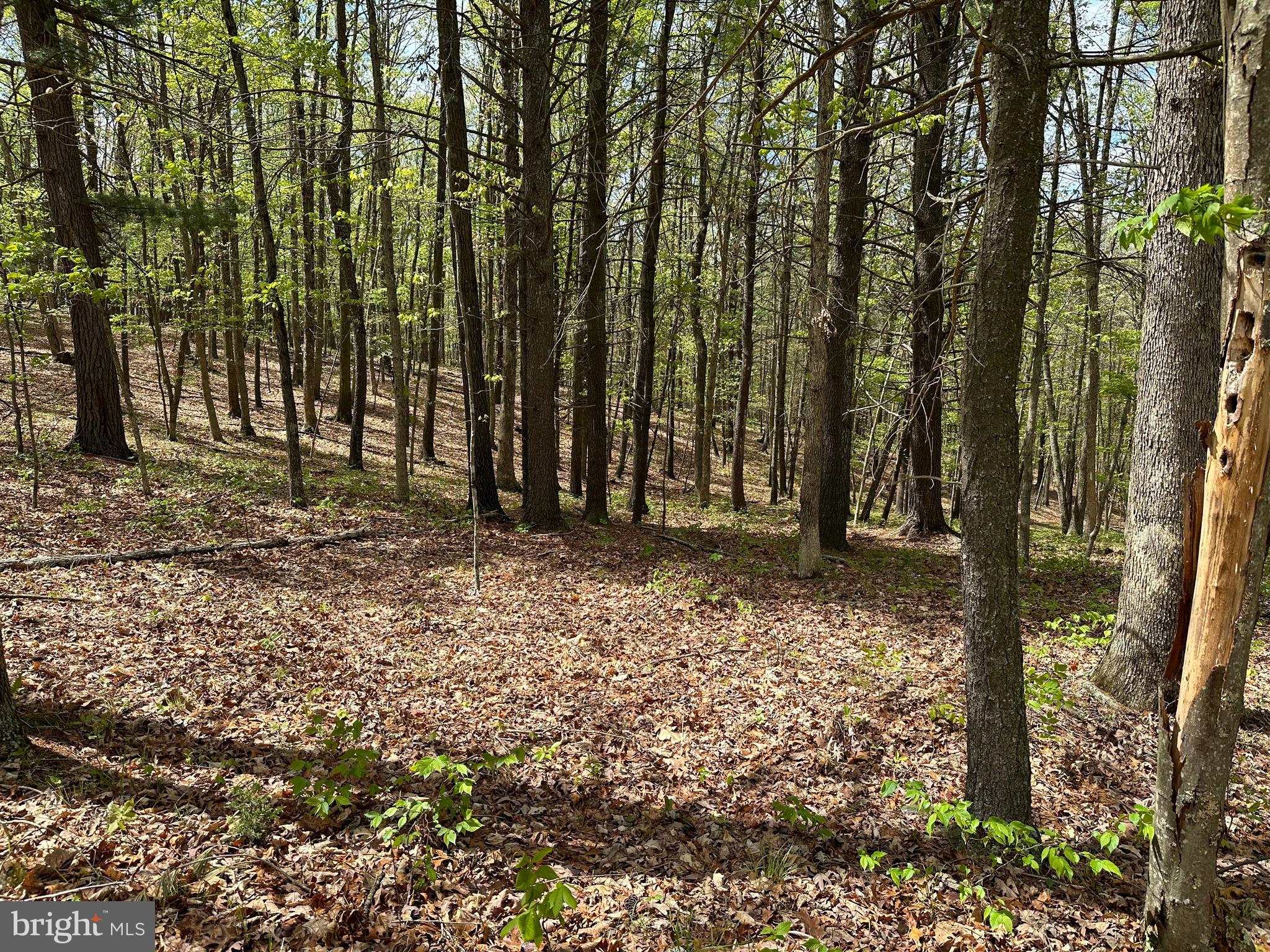 CACAPON MOUNTAIN RETREAT - Land