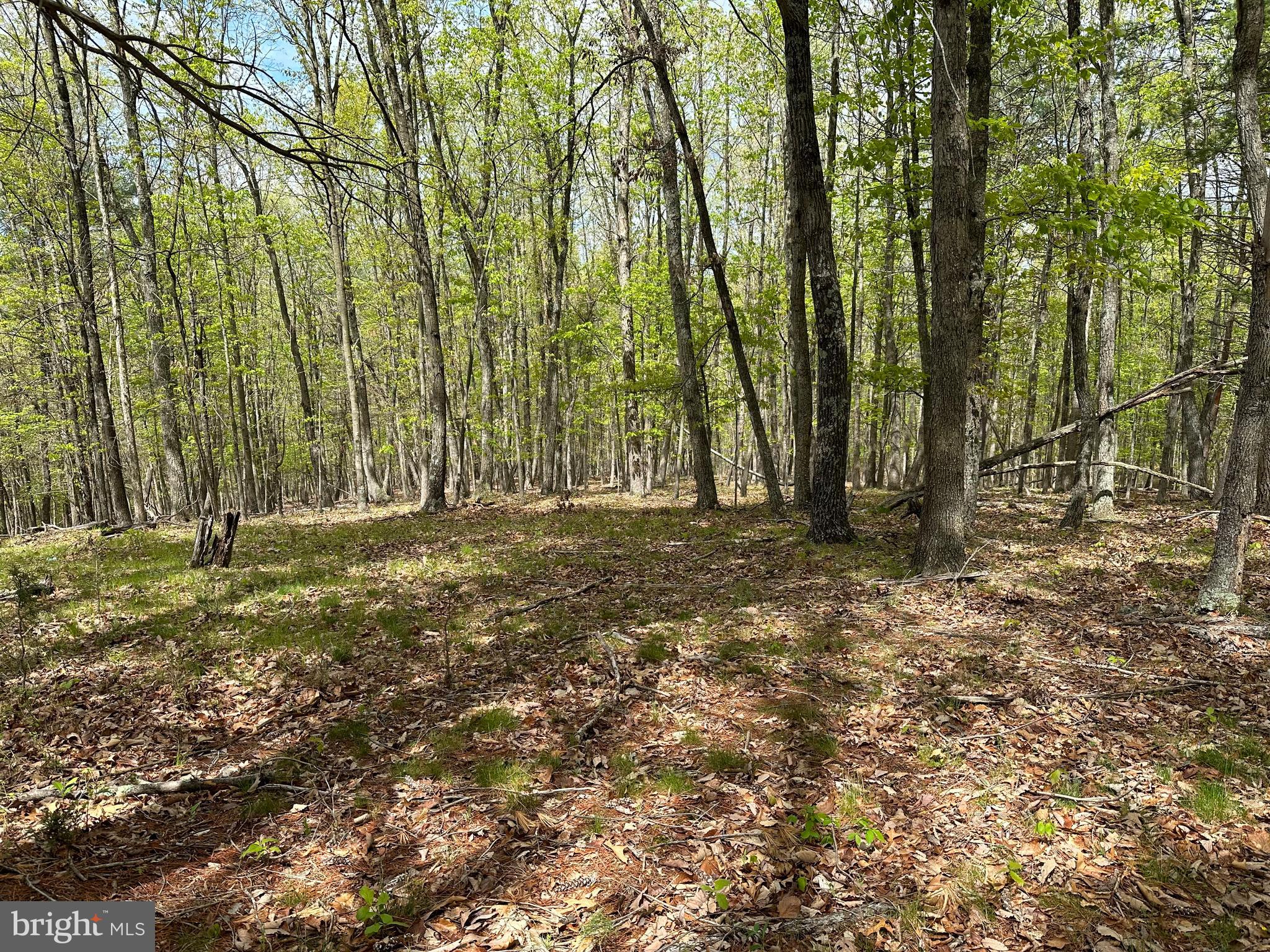 CACAPON MOUNTAIN RETREAT - Land